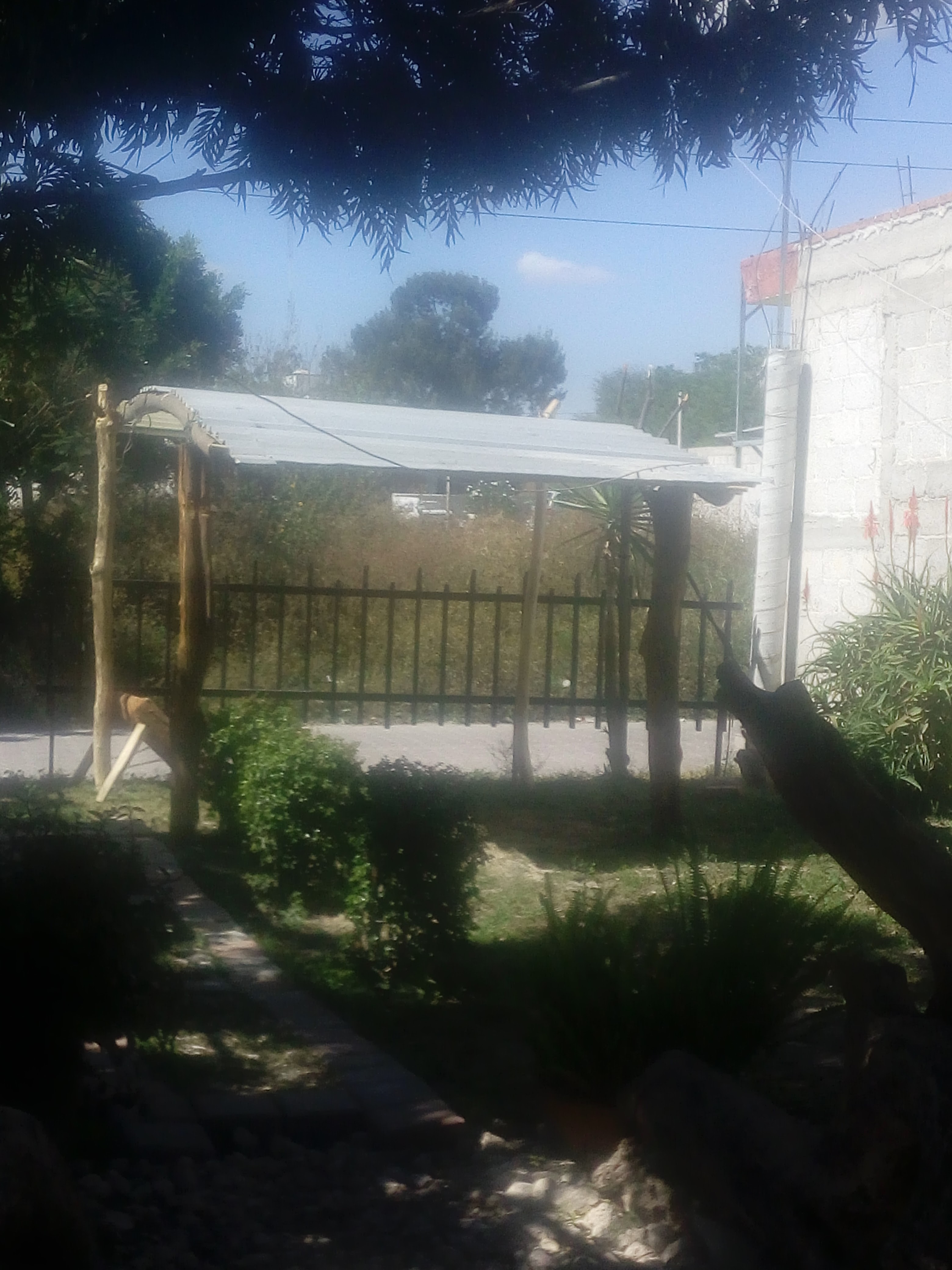 Tona_burguer's image 5