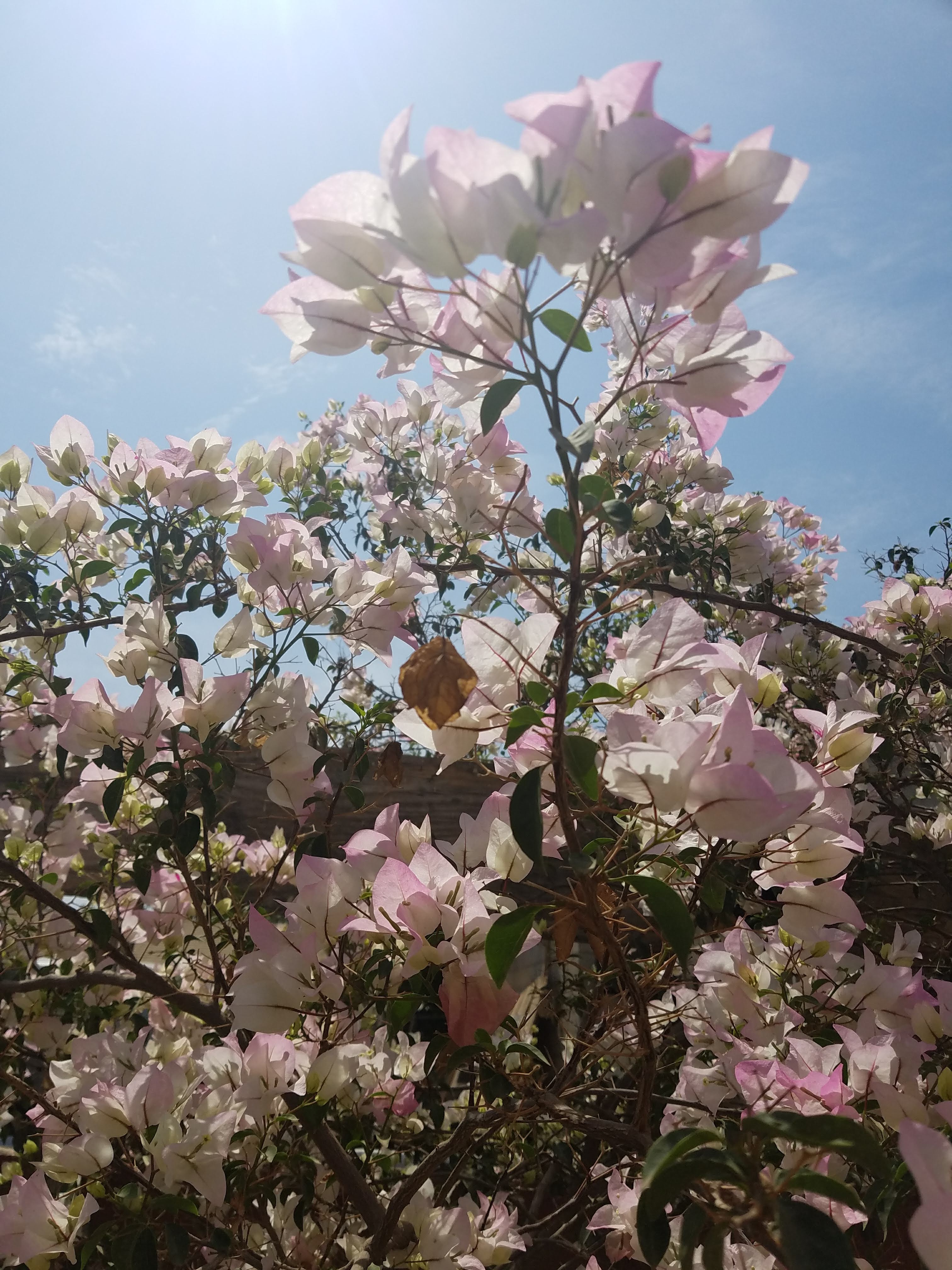Restaurante Valentina image 5