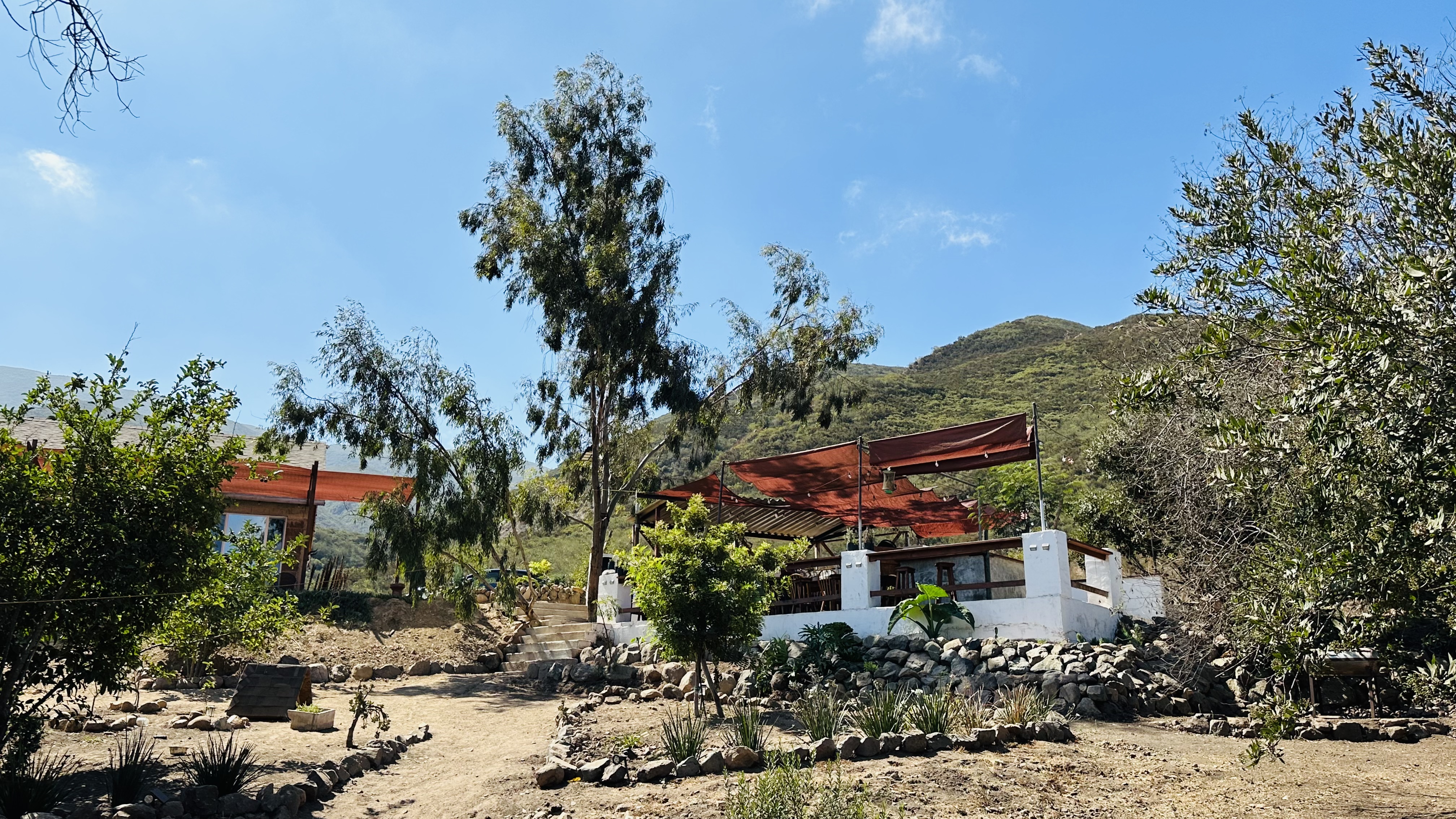 RESTAURANT VISTA AL CIELO image 4