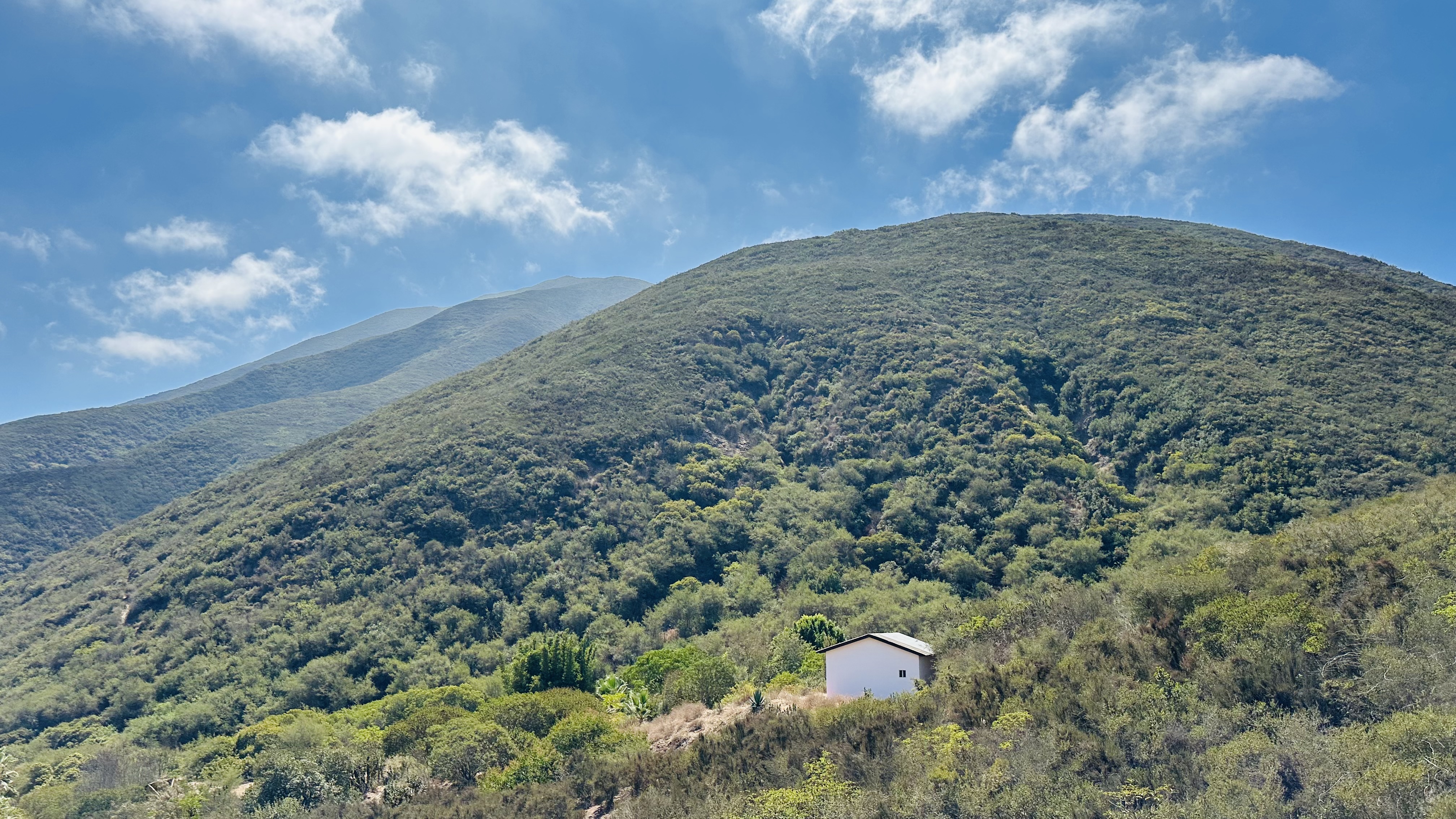 RESTAURANT VISTA AL CIELO image 6