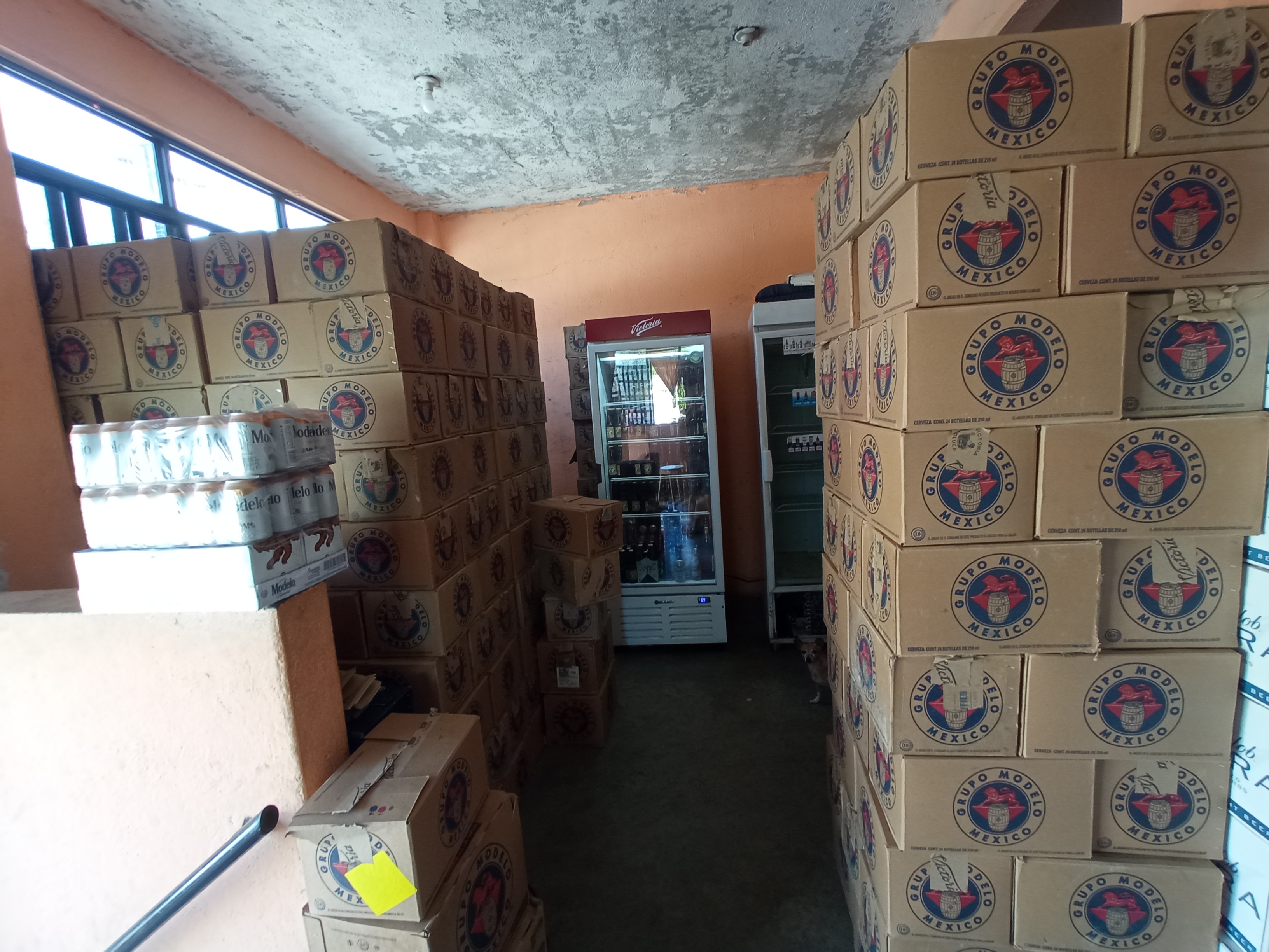 CHELA EXPRÉS image 3