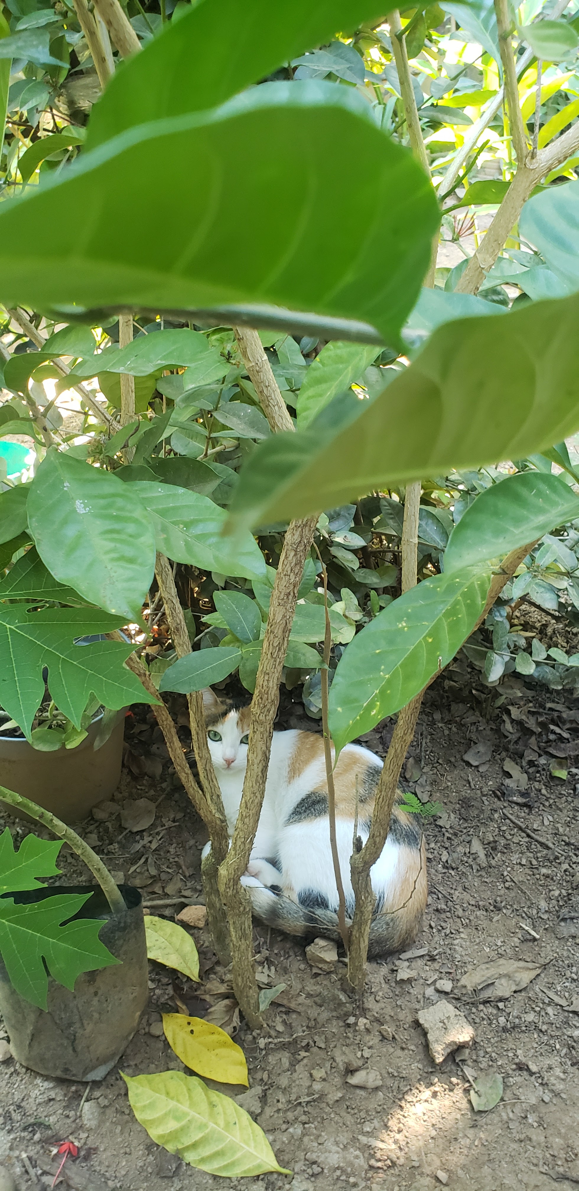 Taquería "Tsompa" image 5