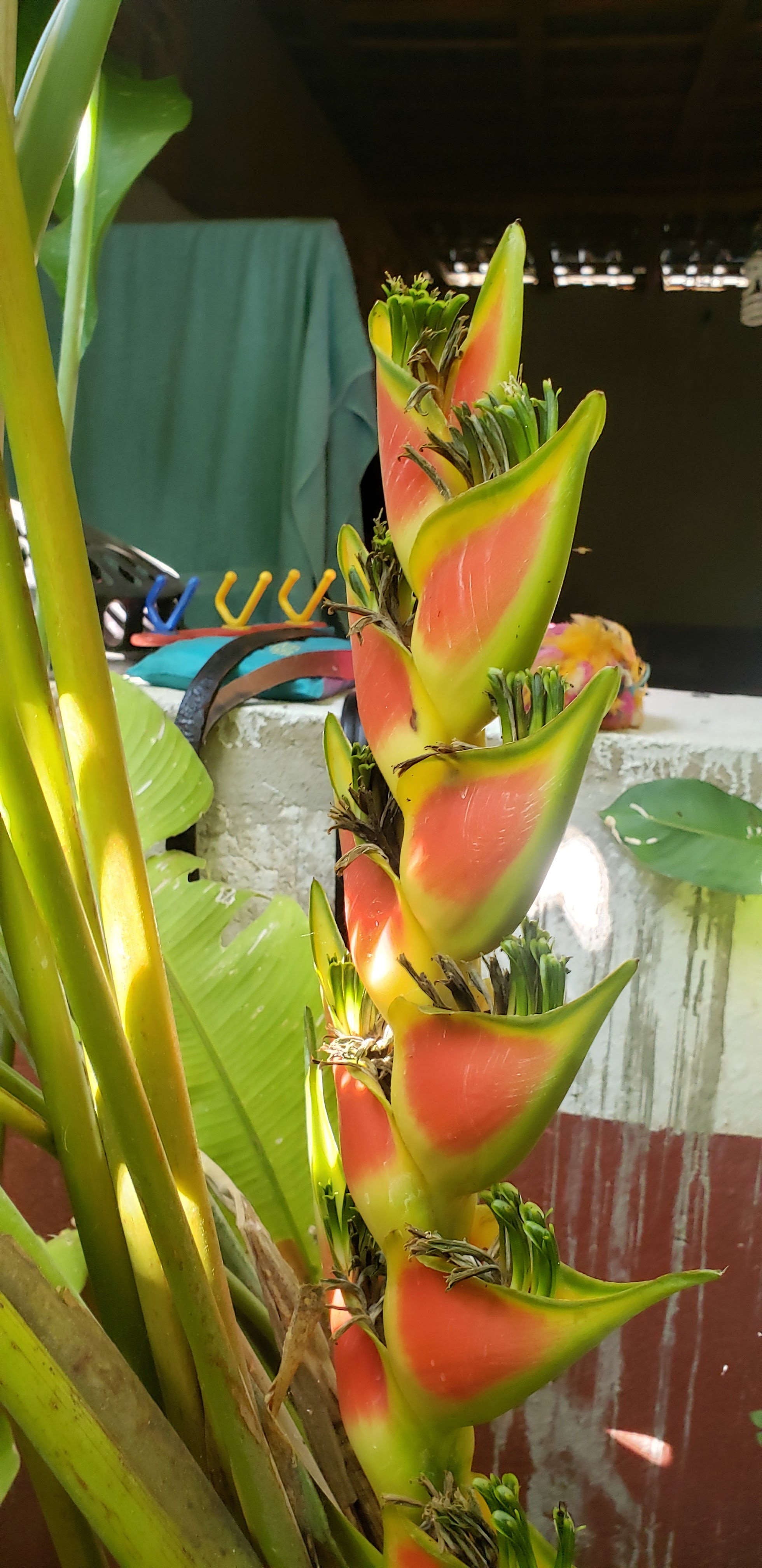 Taquería "Tsompa" image 8