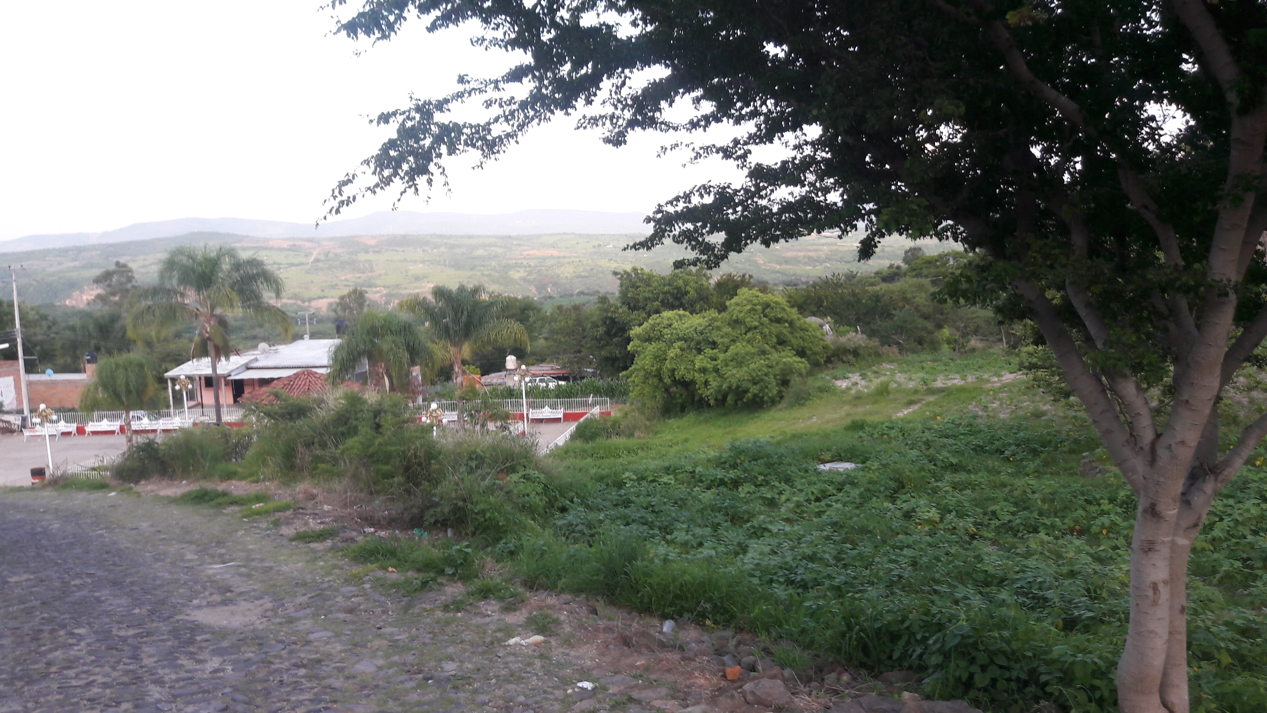 Mi Casa LOS ZAPOTES. CITY image 4