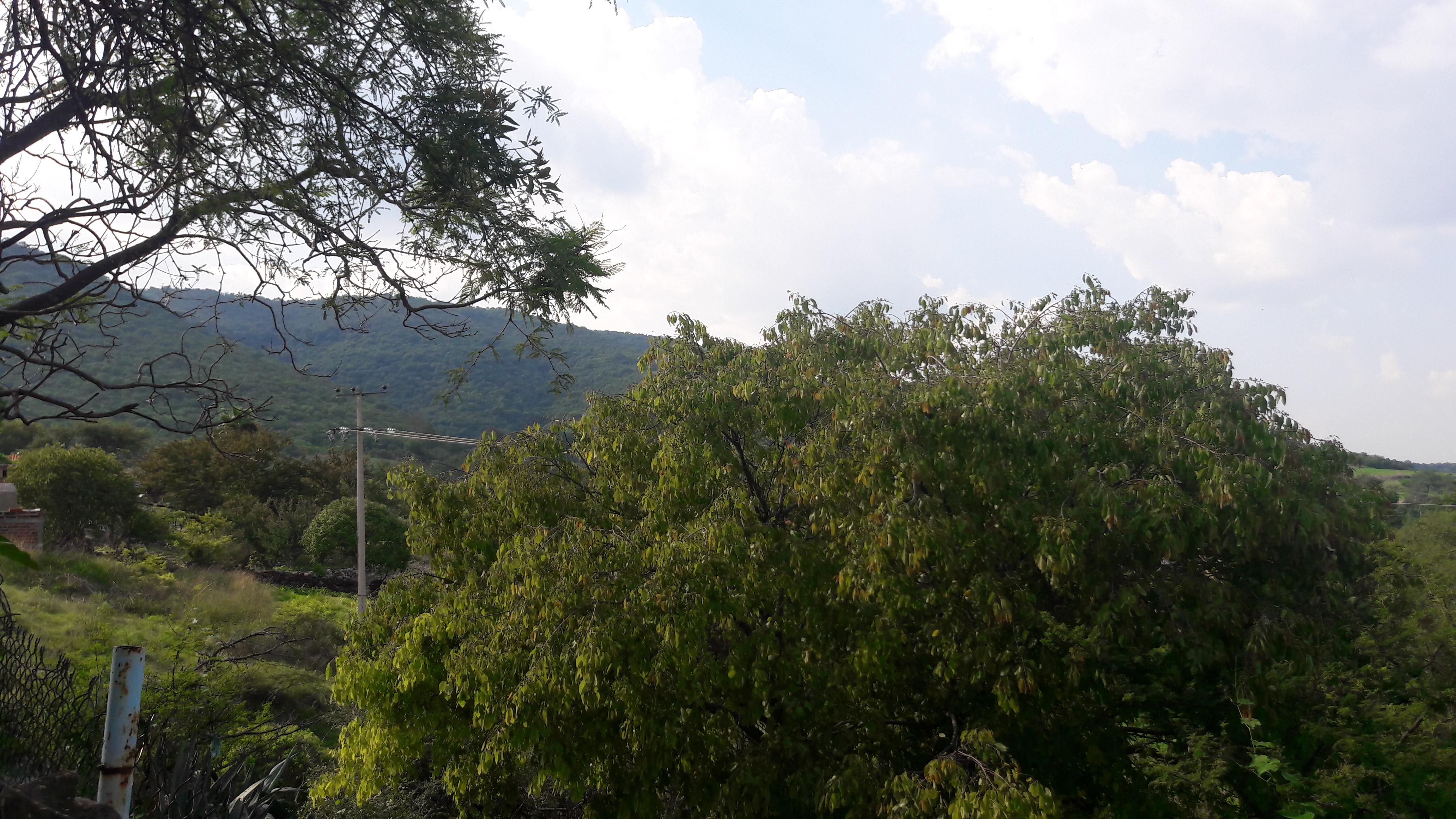 Mi Casa LOS ZAPOTES. CITY image 6