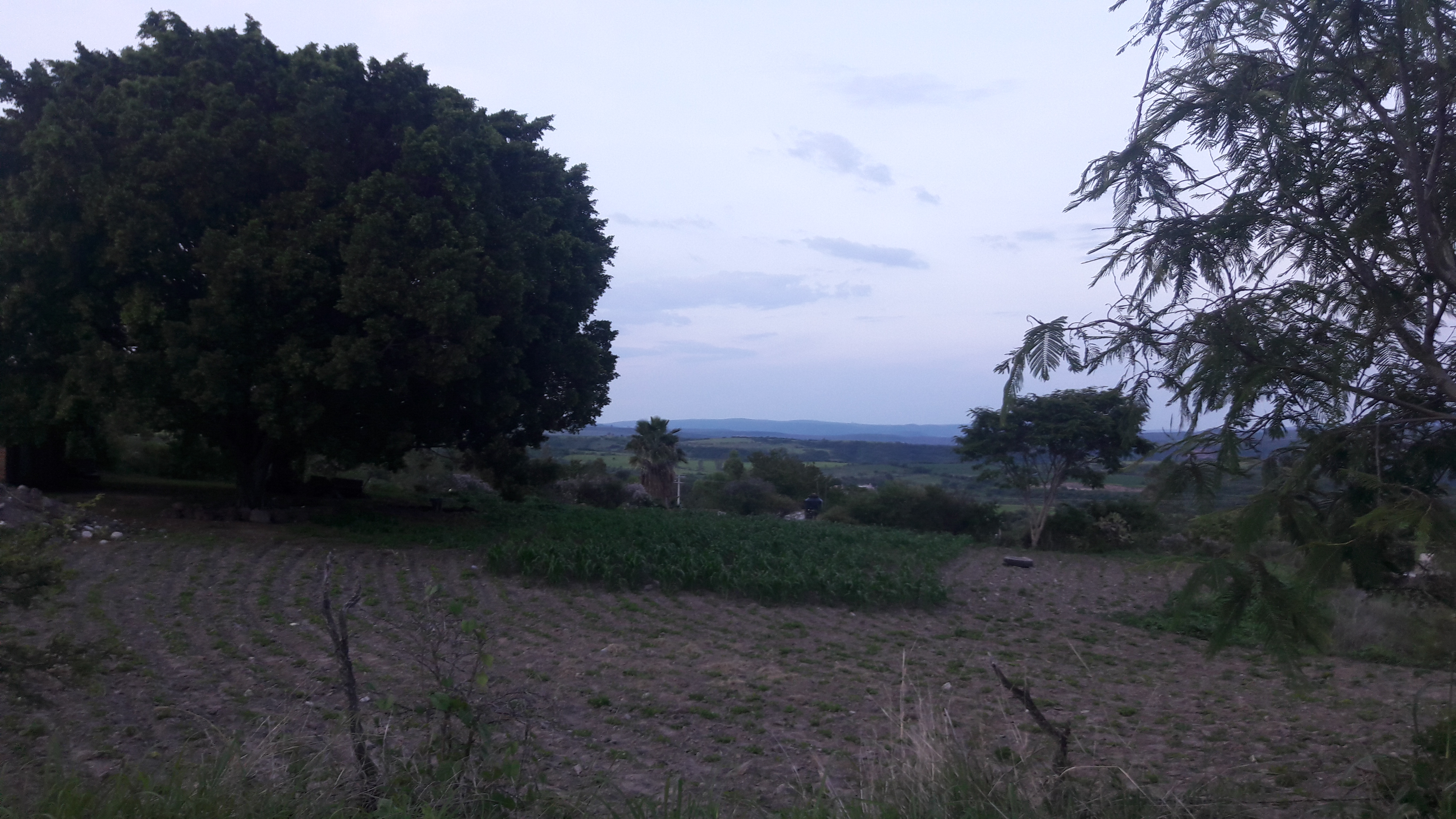 Mi Casa LOS ZAPOTES. CITY image 8