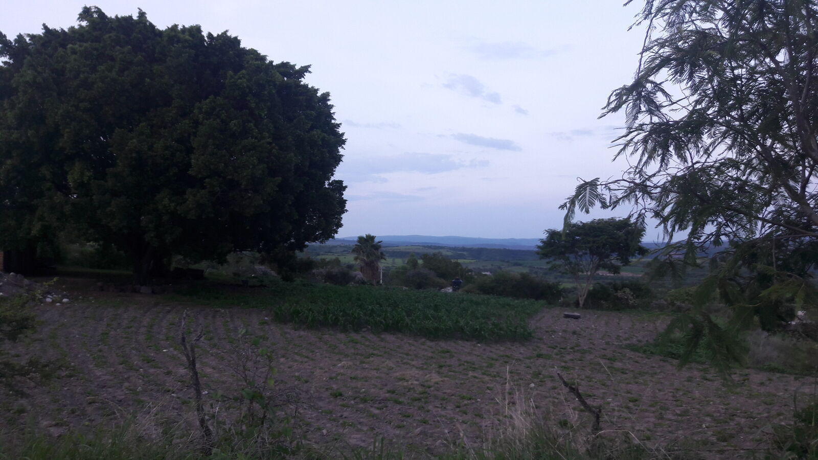 Mi Casa LOS ZAPOTES. CITY image 8