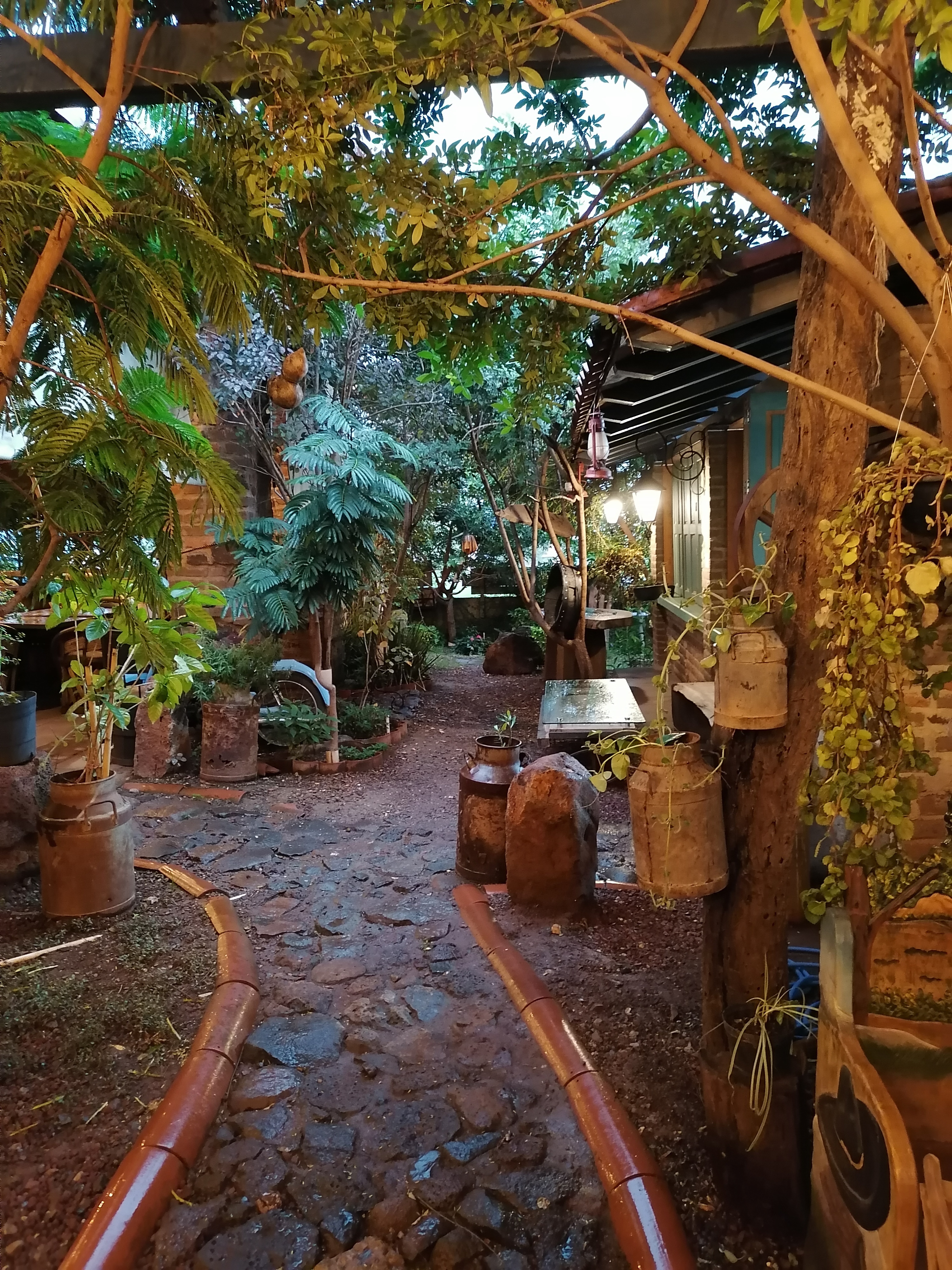 Lucila Restaurant image 8