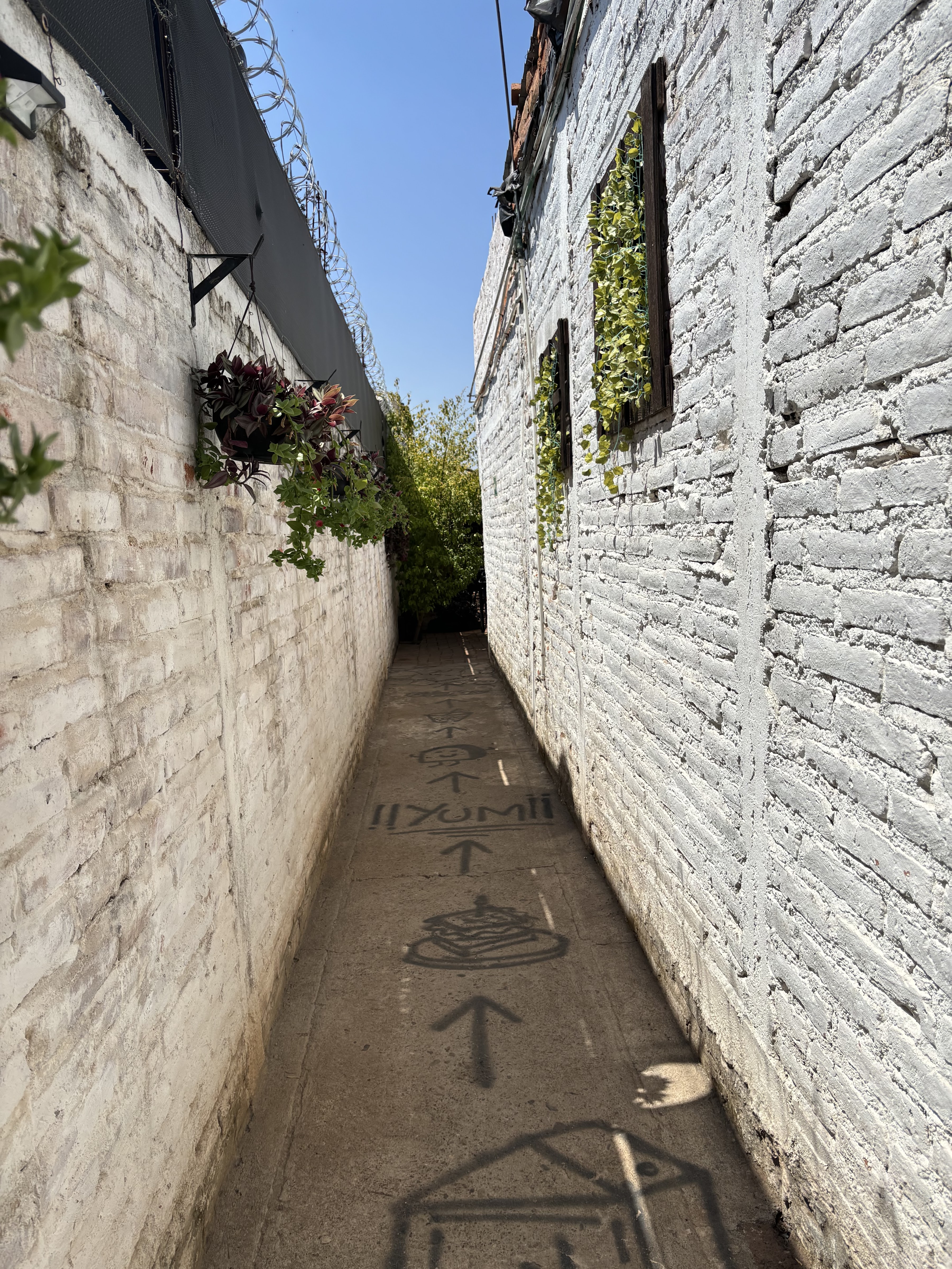 El Callejón Restaurante image 8