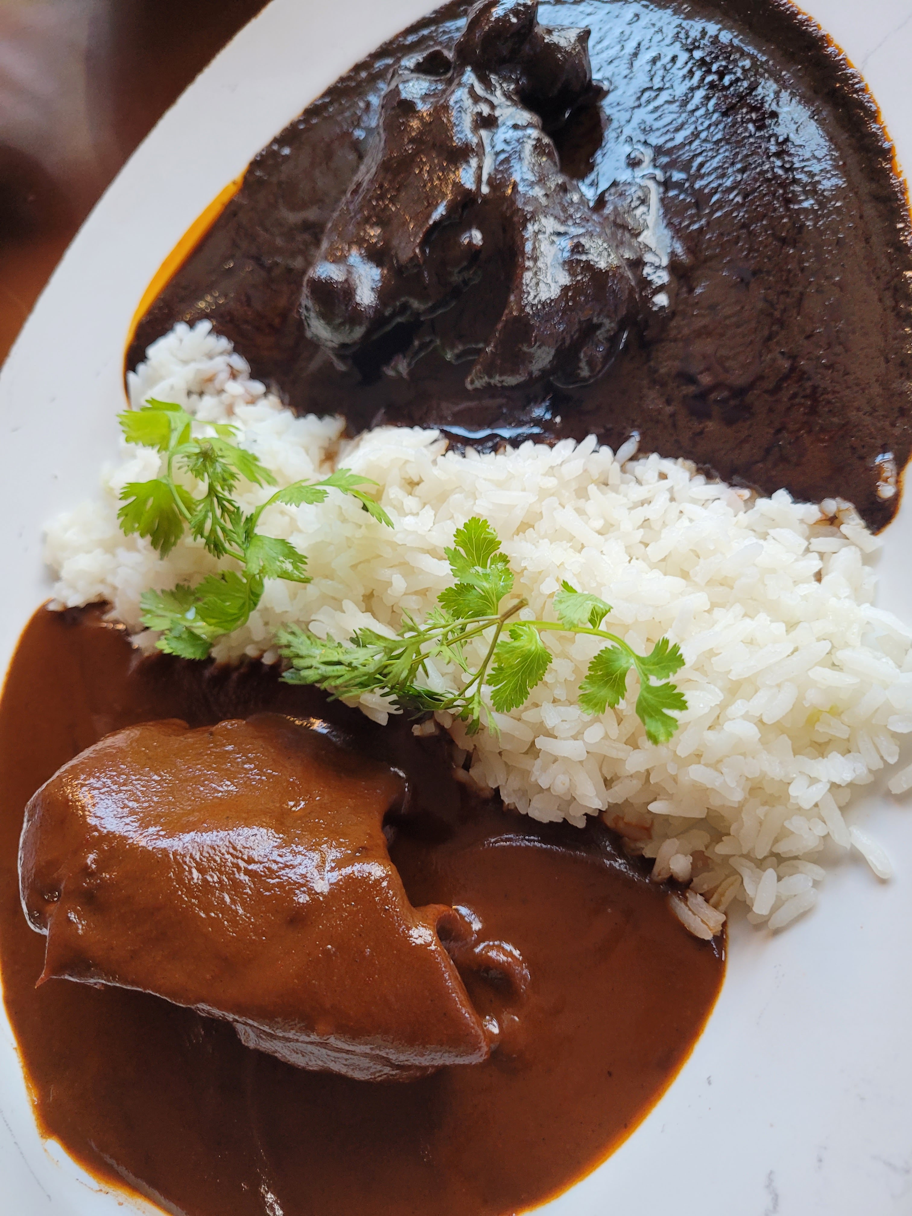 Tierra Antigua image 5