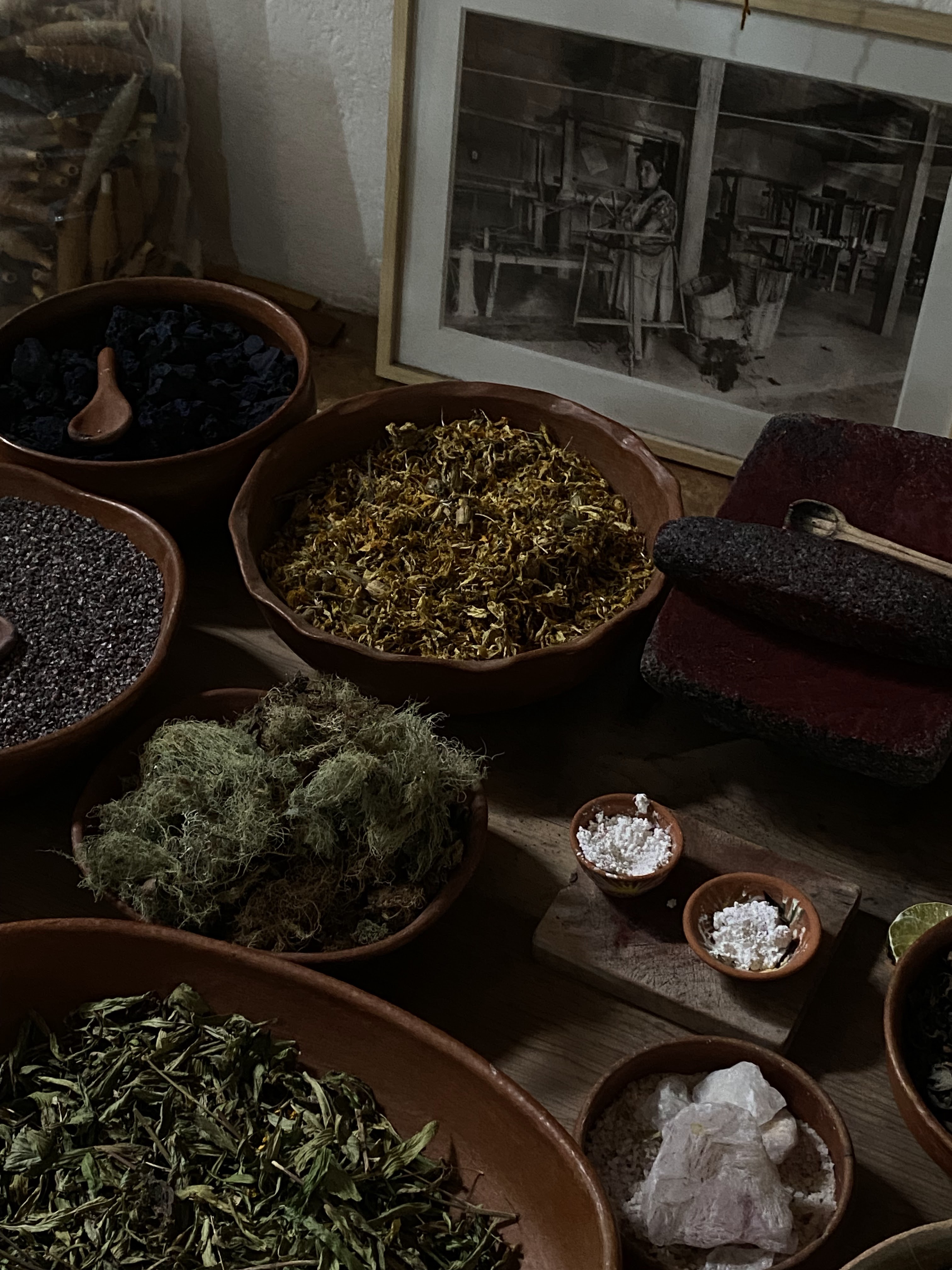 Tierra Antigua image 6