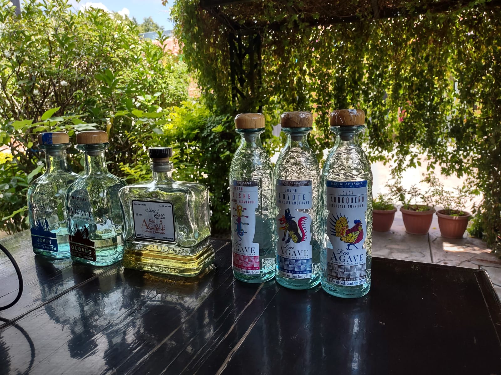 Mezcal Don Agave image 7