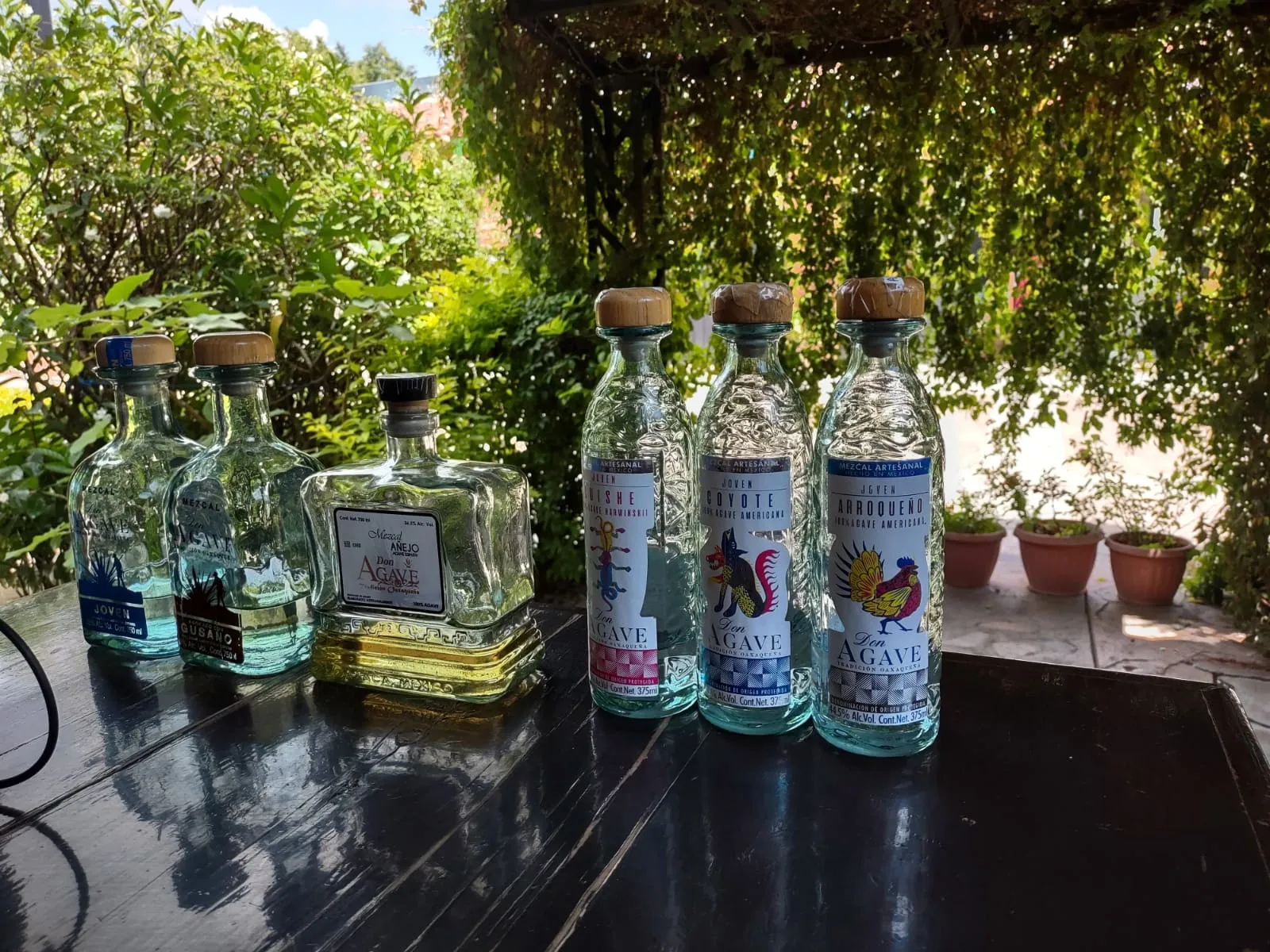 Mezcal Don Agave image 7