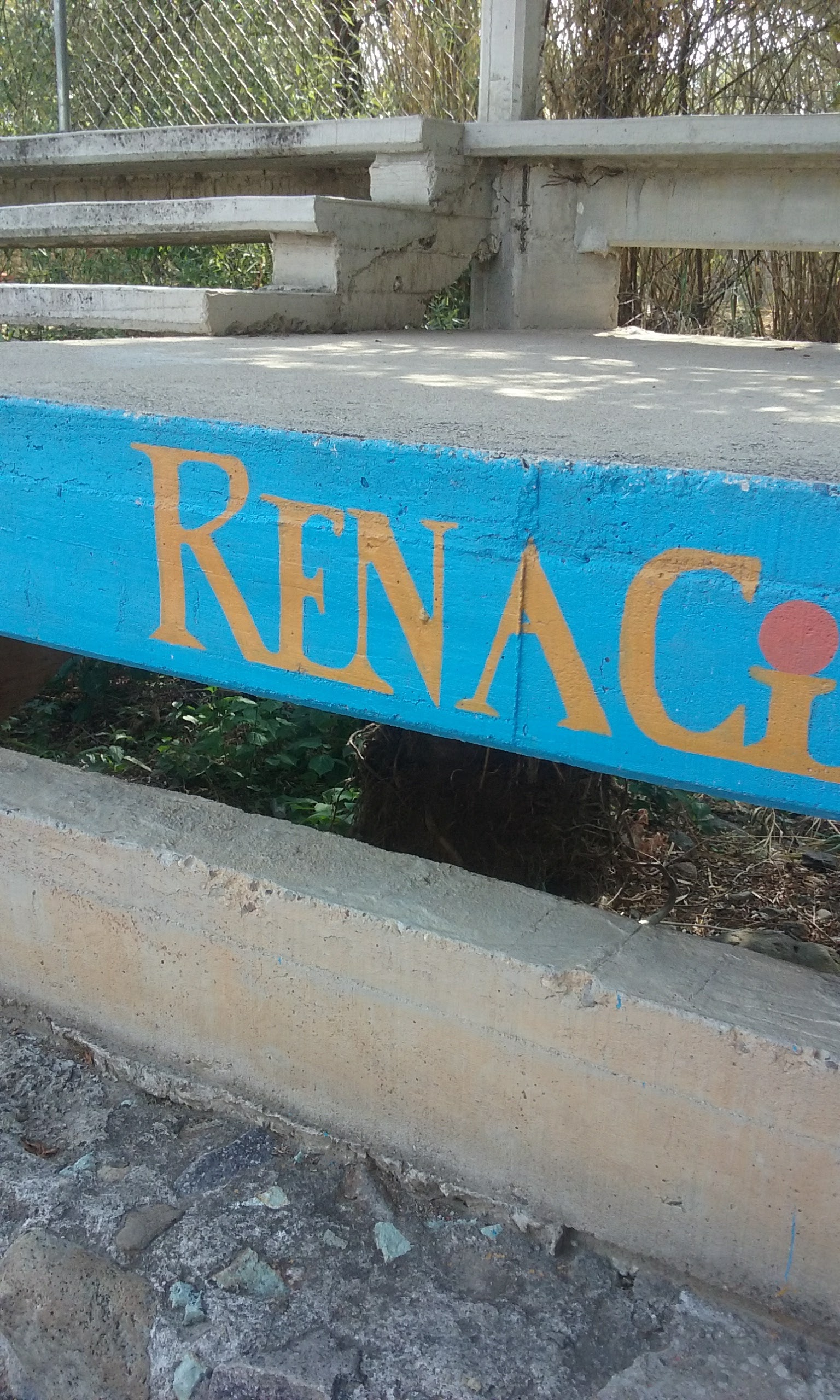 La Leyenda Restaurante Campestre image 2