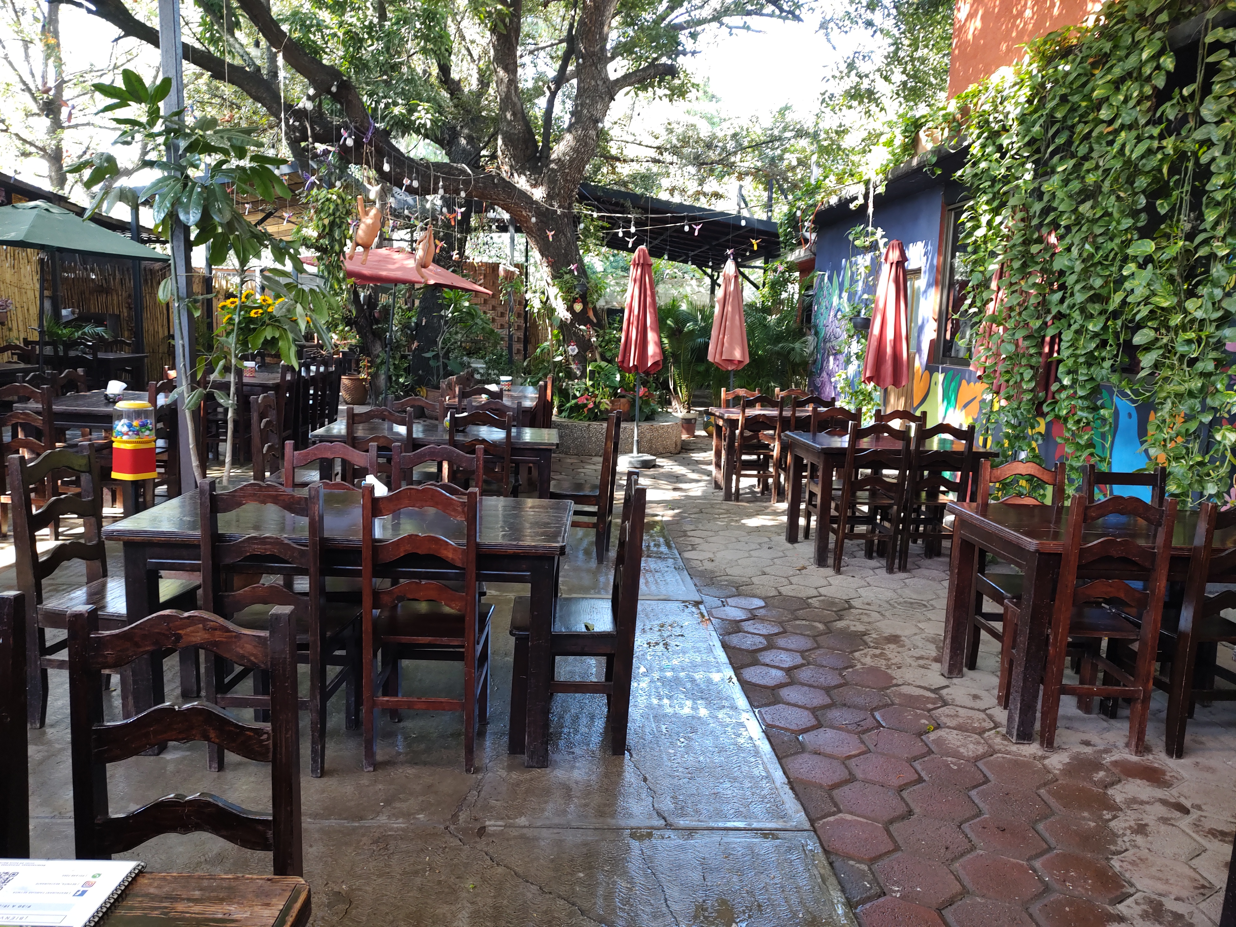 Restaurante Reynita image 4