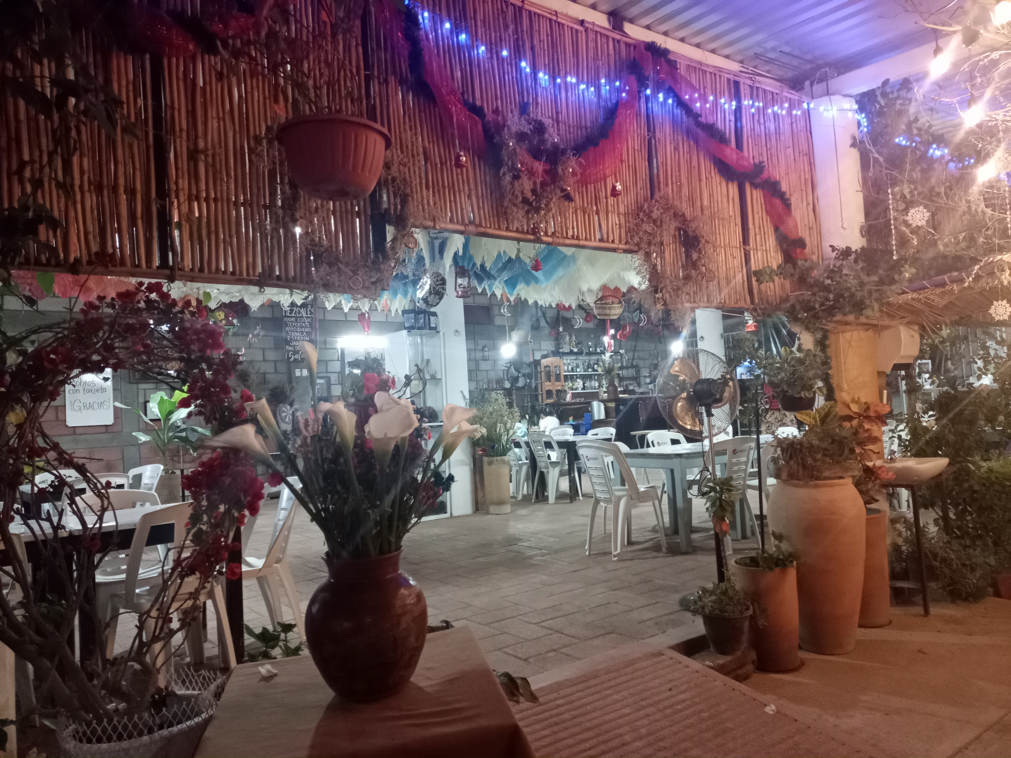 La Teca en Oaxaca image 1