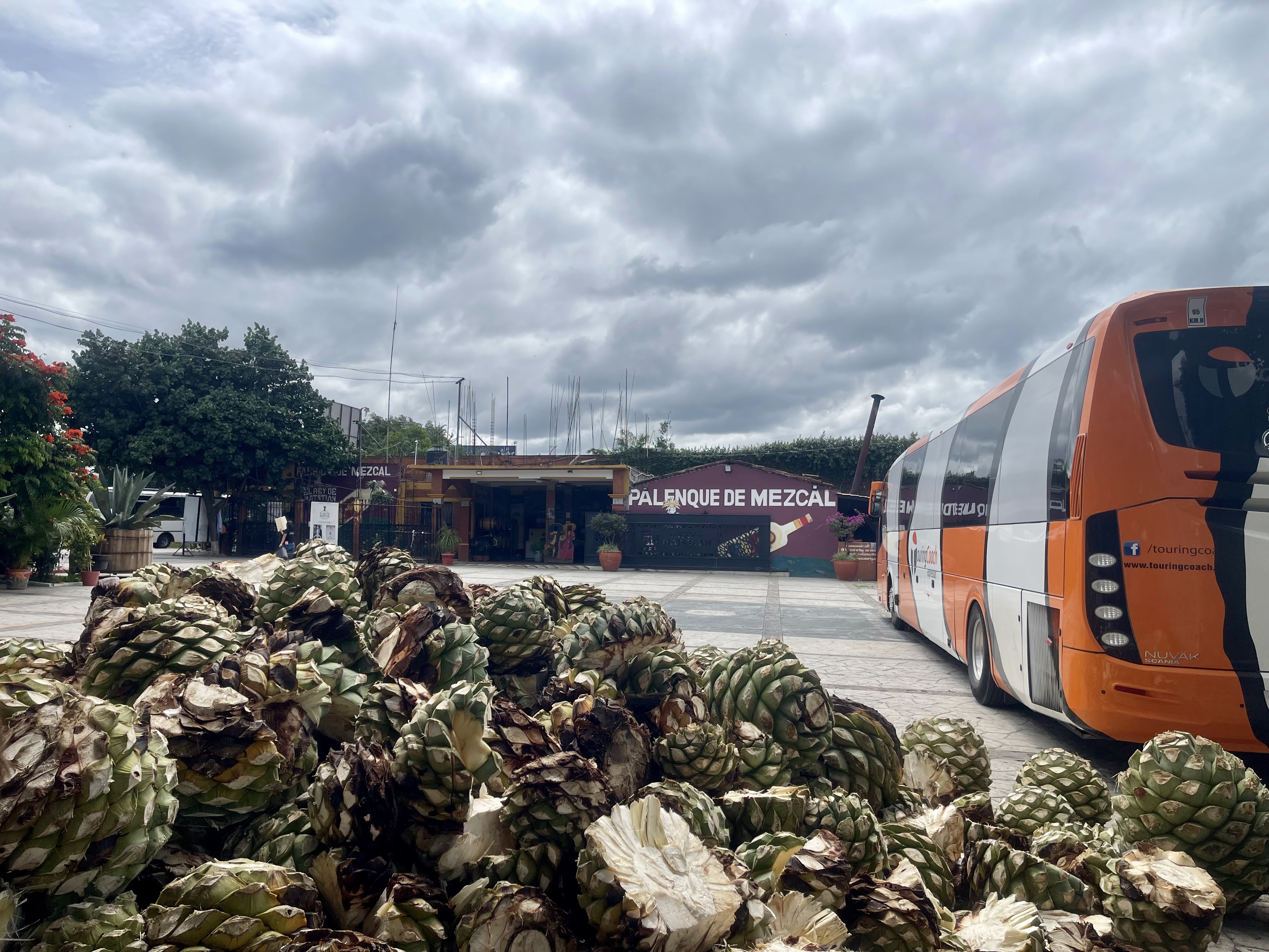 Casa Cortador Mezcaleria image 10