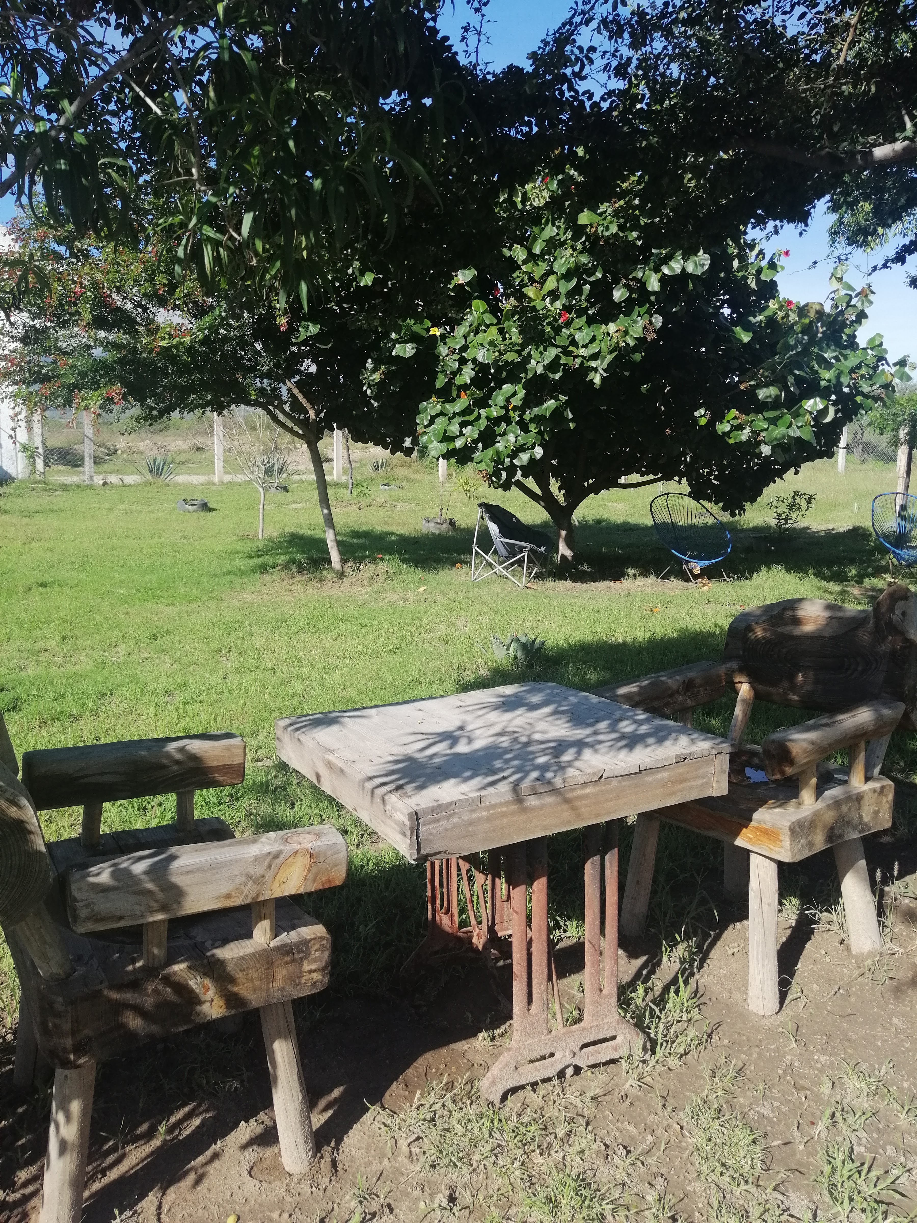 La Coronela Restaurant Bar image 1