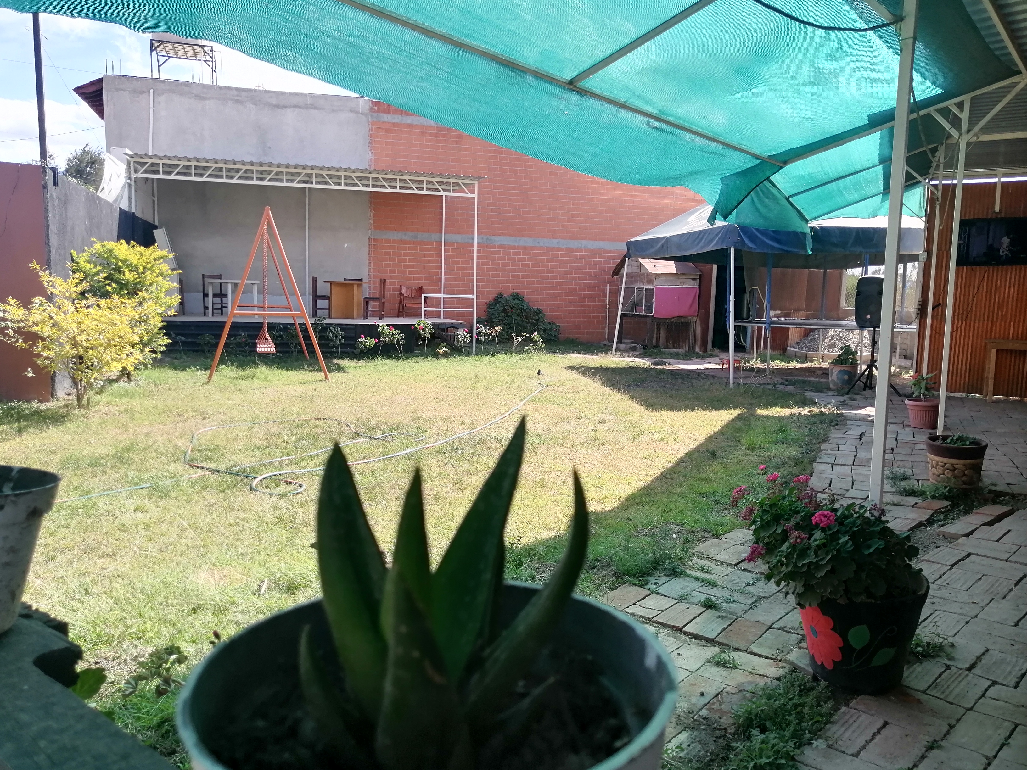 Restaurante Campestre Los Agaves image 3