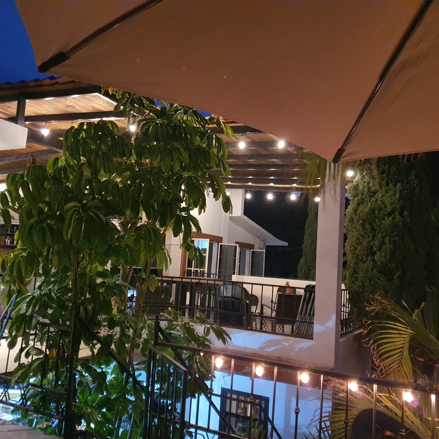 CASA COYOTE MAGUEY RESTAURANTE MEZCALERIA image 6