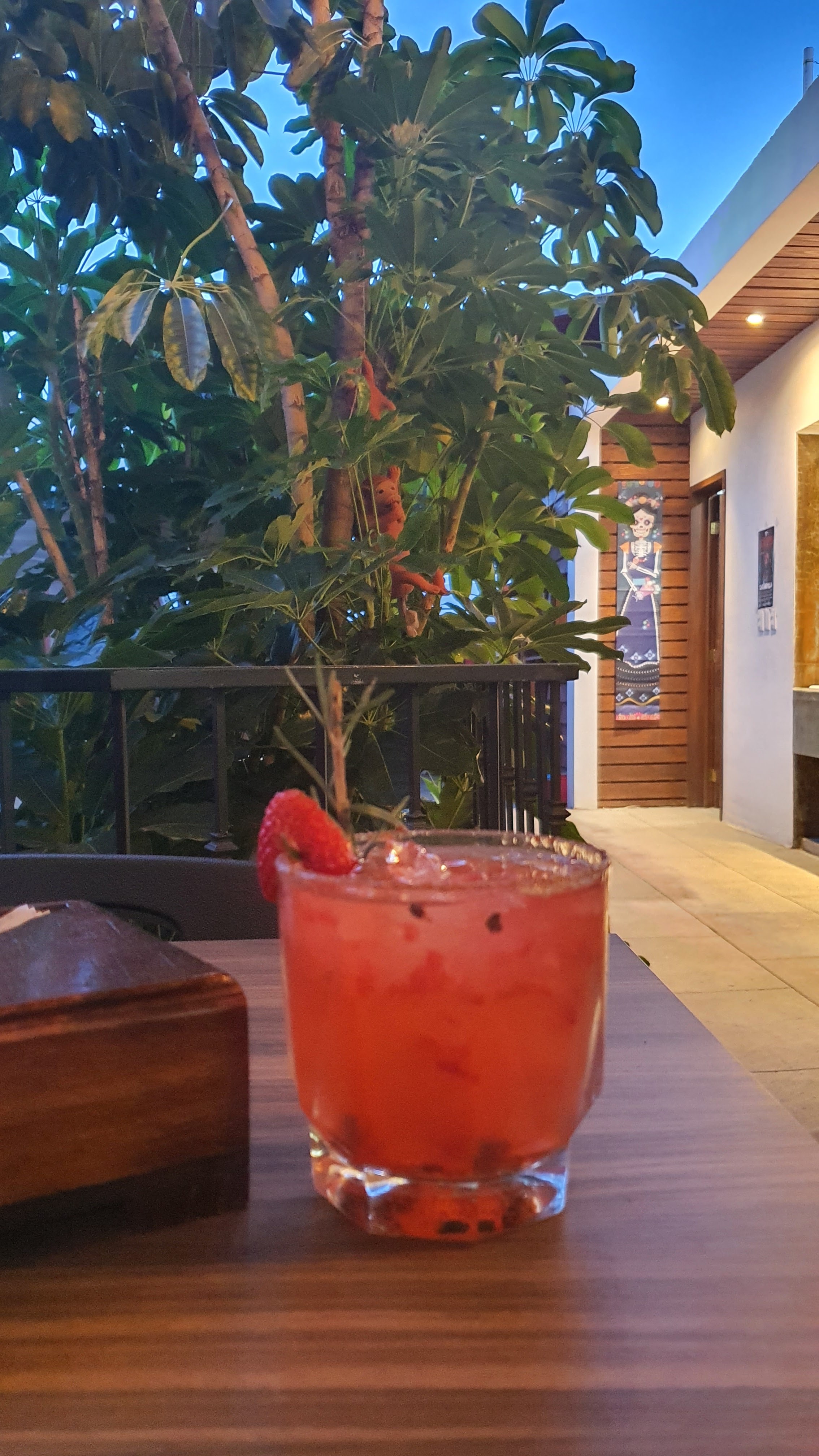 CASA COYOTE MAGUEY RESTAURANTE MEZCALERIA image 8