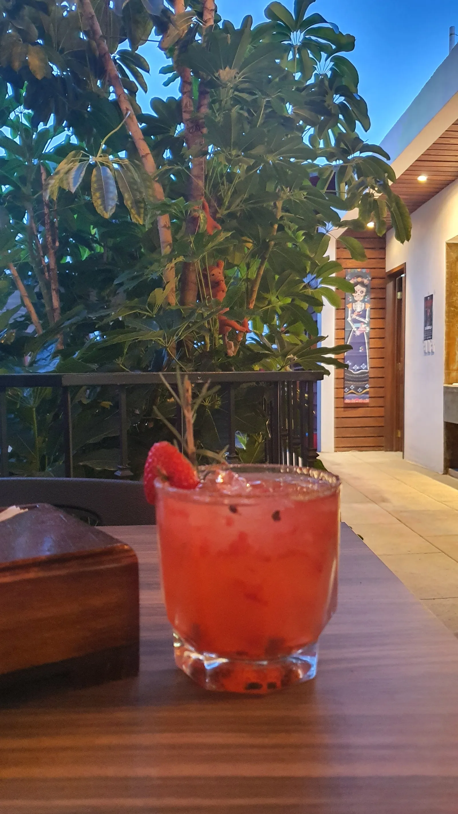 CASA COYOTE MAGUEY RESTAURANTE MEZCALERIA image 8