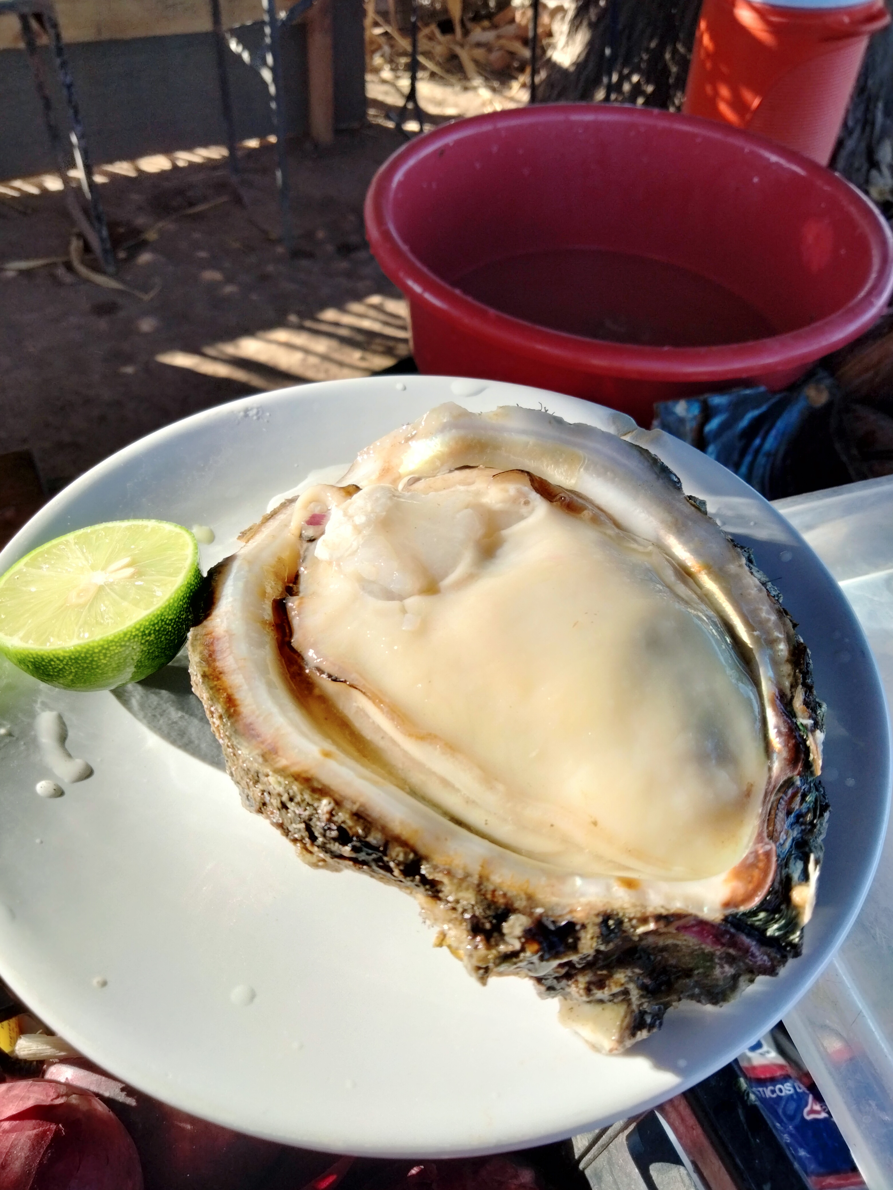 Mariscos con El Fredyy image 2