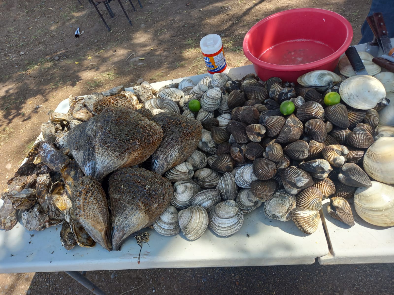Mariscos con El Fredyy image 7
