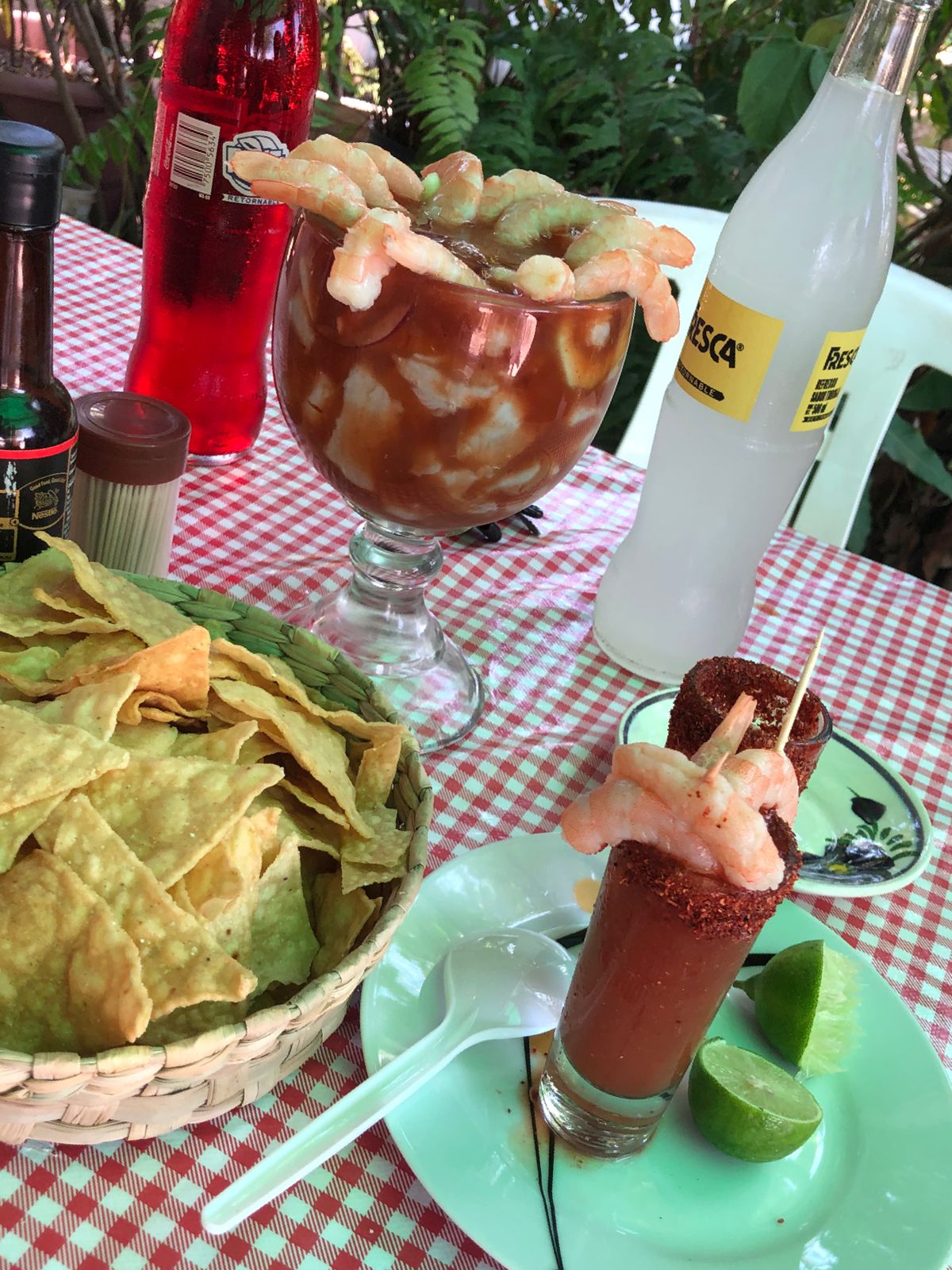 Dogos "Tachy" image 1