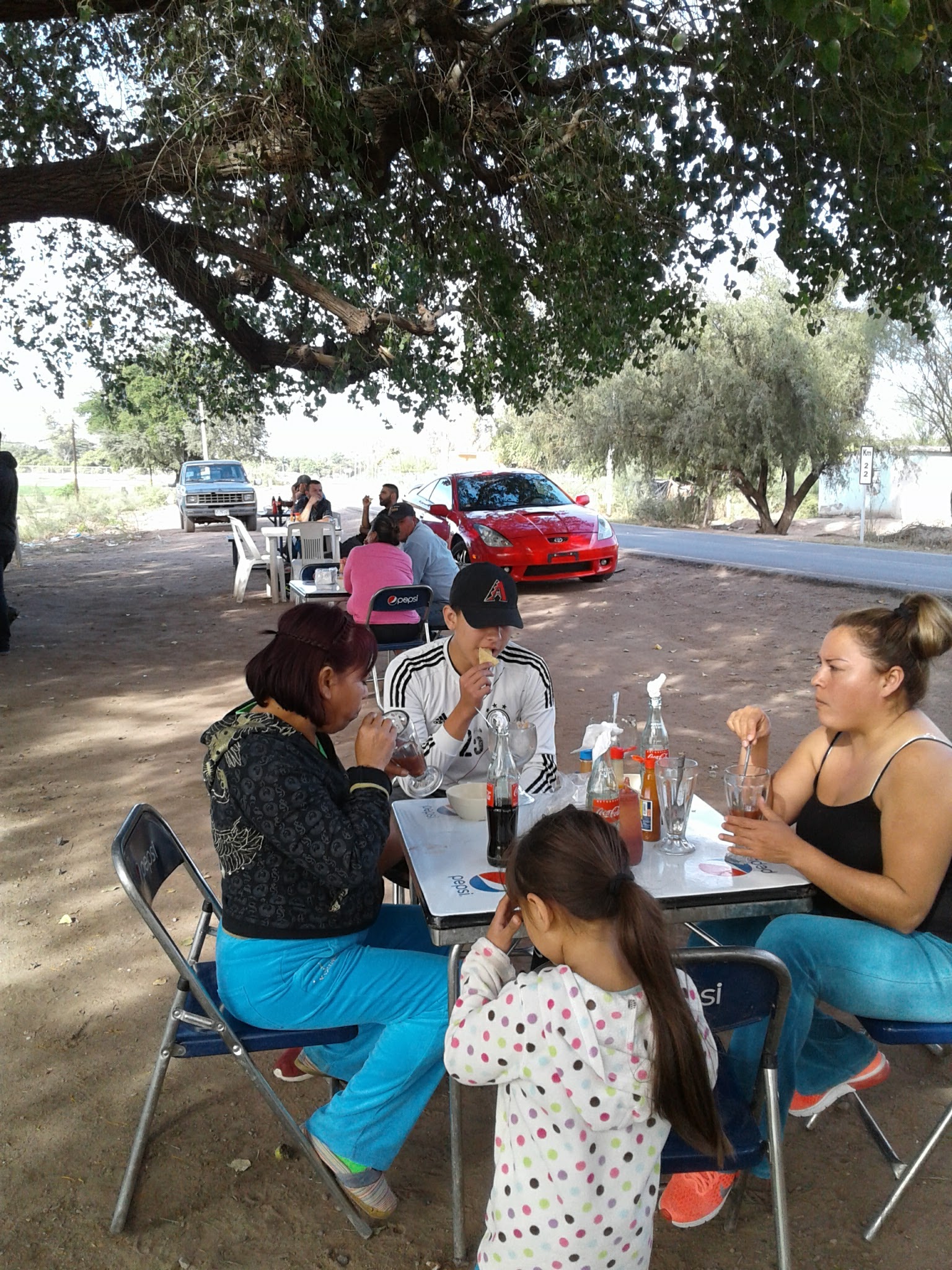 Dogos "Tachy" image 4