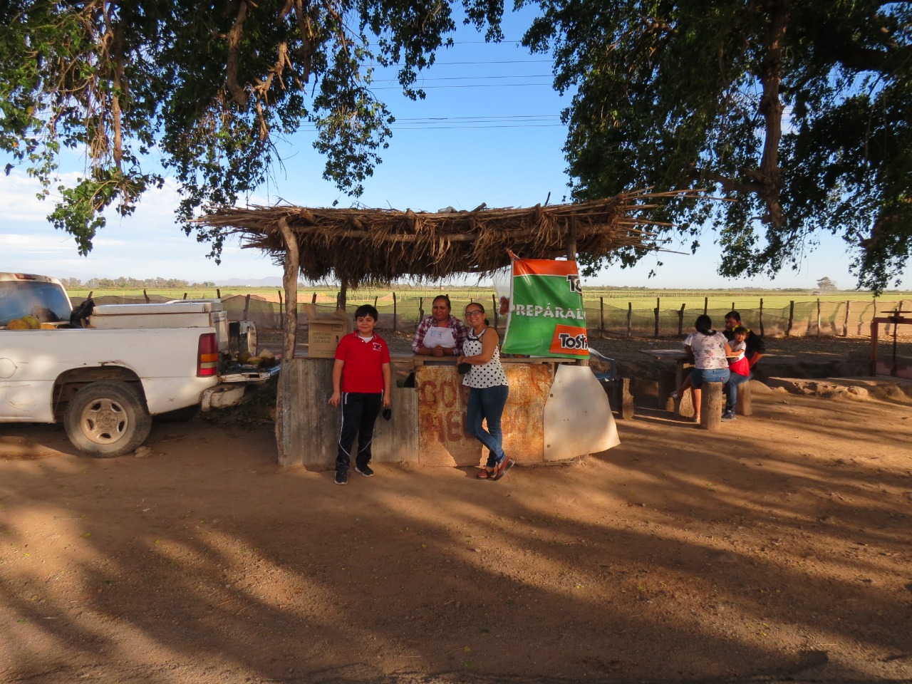 Cocos El Álamo image 3