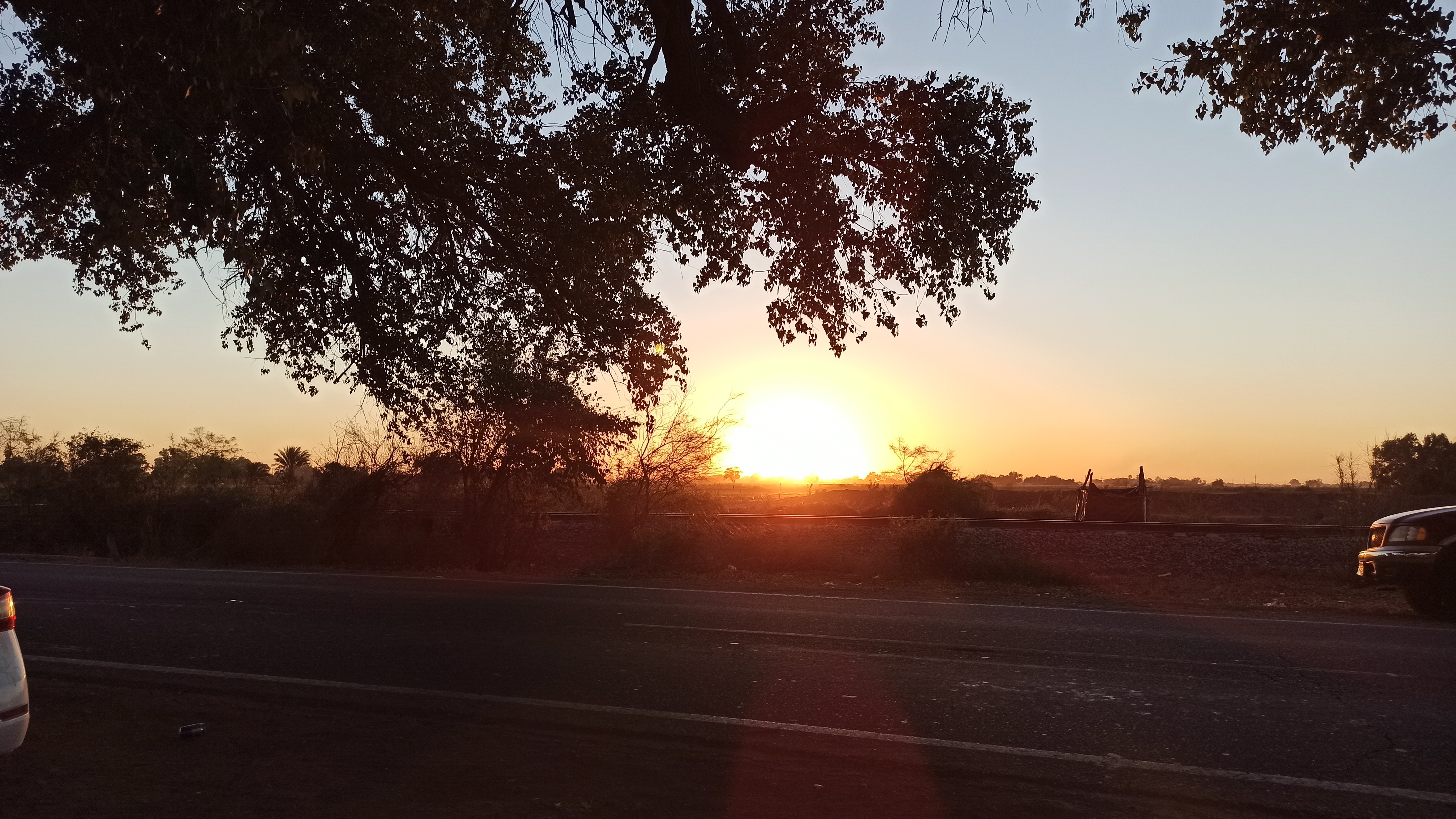 Cocos El Álamo image 8