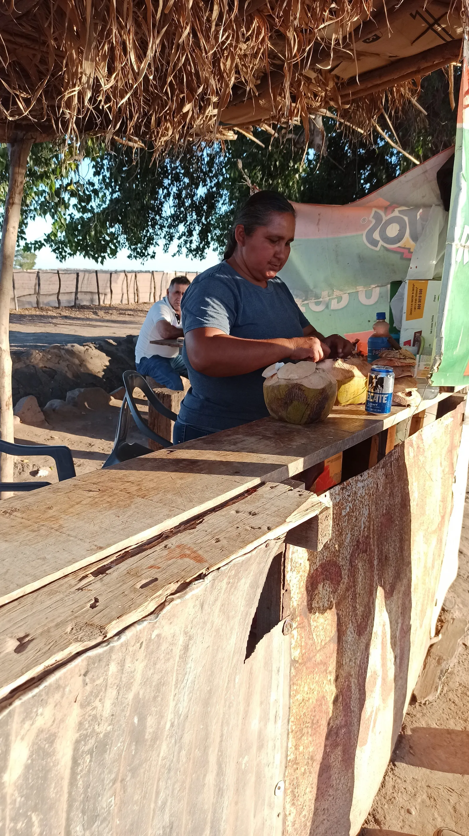 Cocos El Álamo image 10