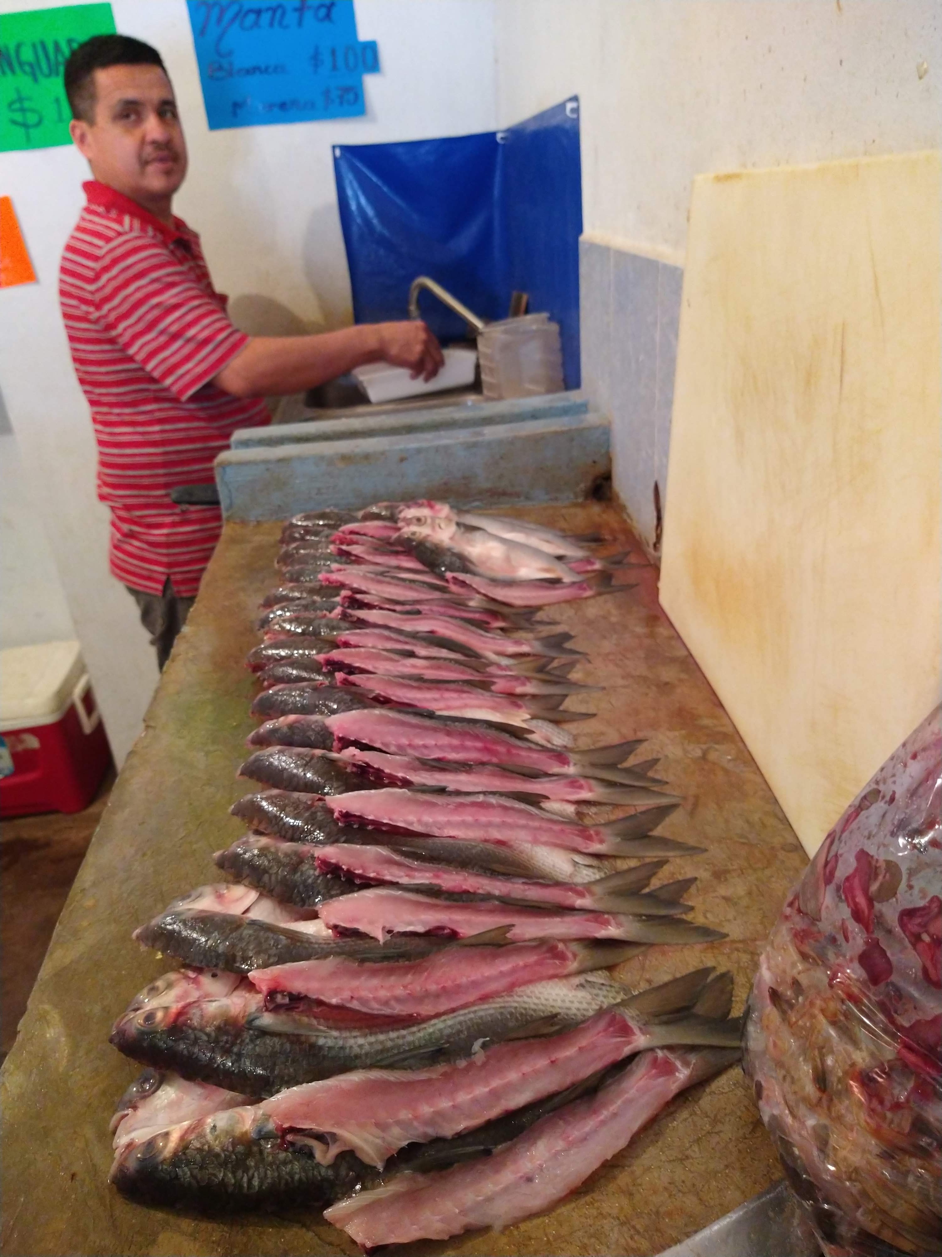 Pescadería y Mariscos El Profe image 3