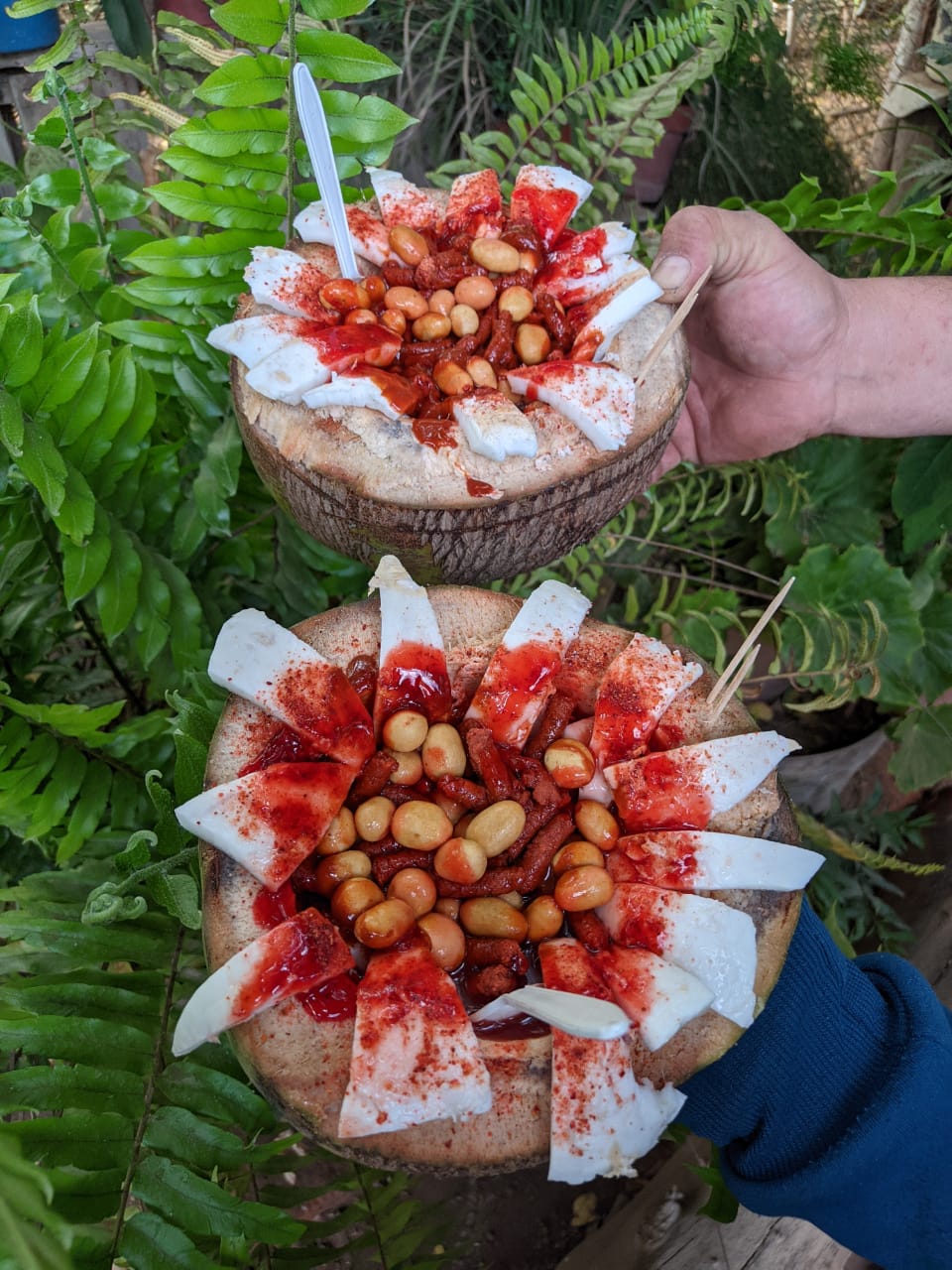 Cocos los weross image 1