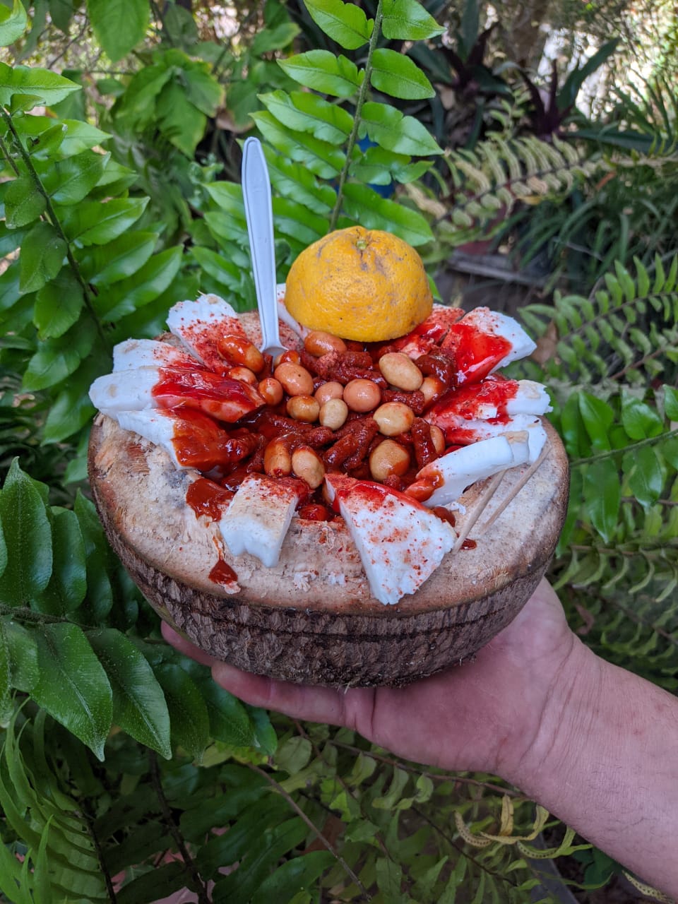 Cocos los weross image 5