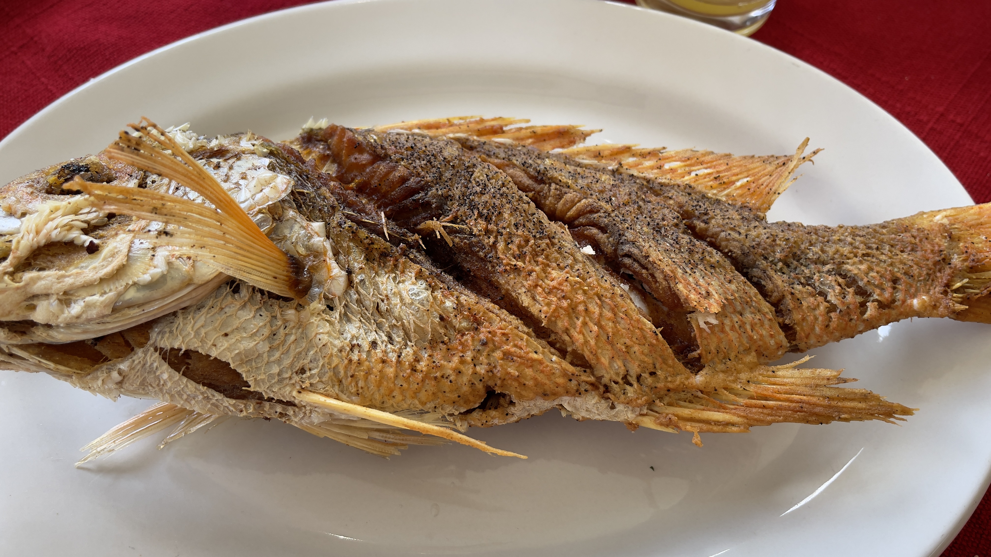 El Tejado Restaurant image 8