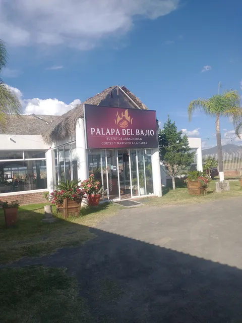 La Palapa Del Bajio image 4