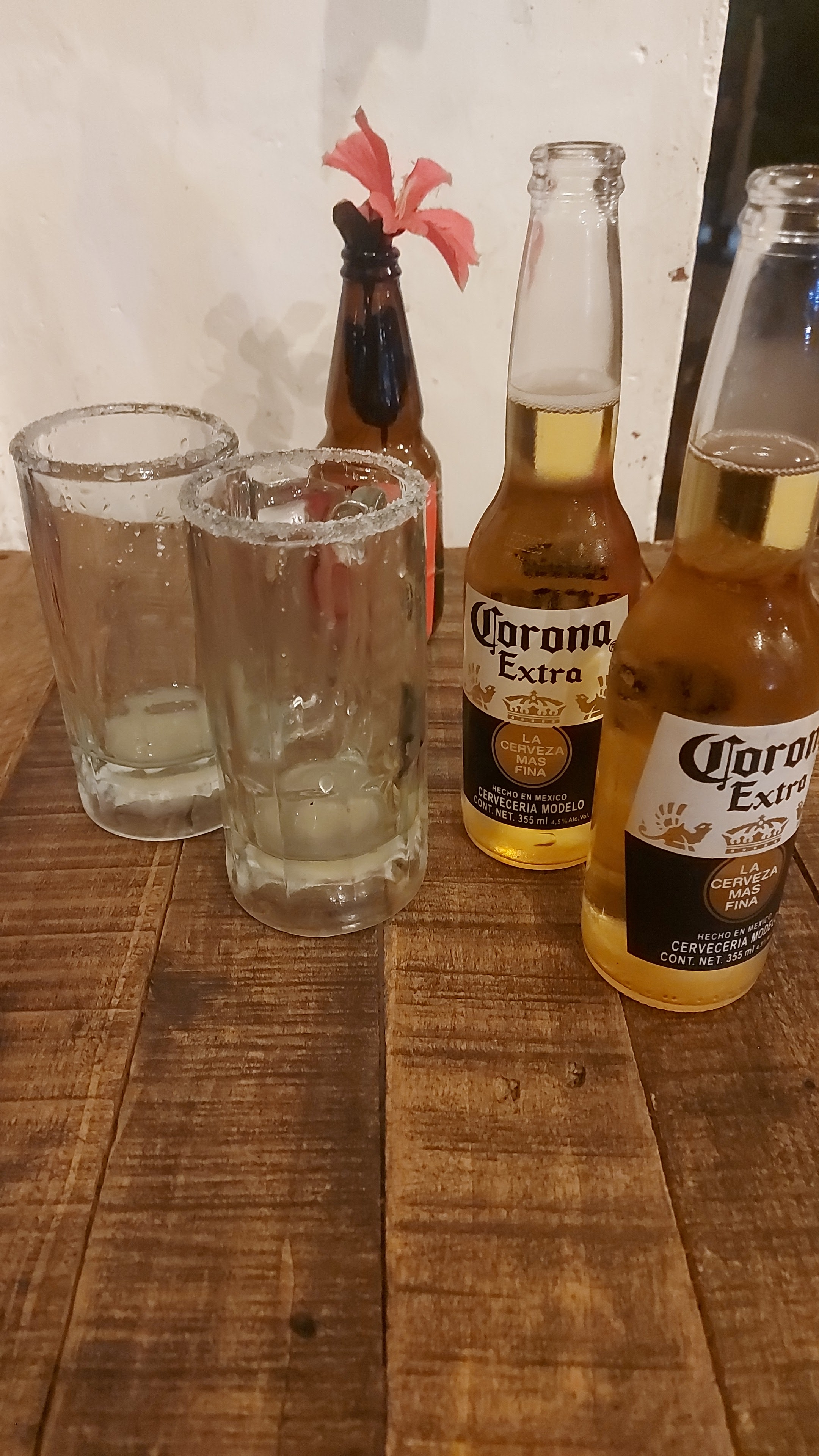 Bravas Wings image 1