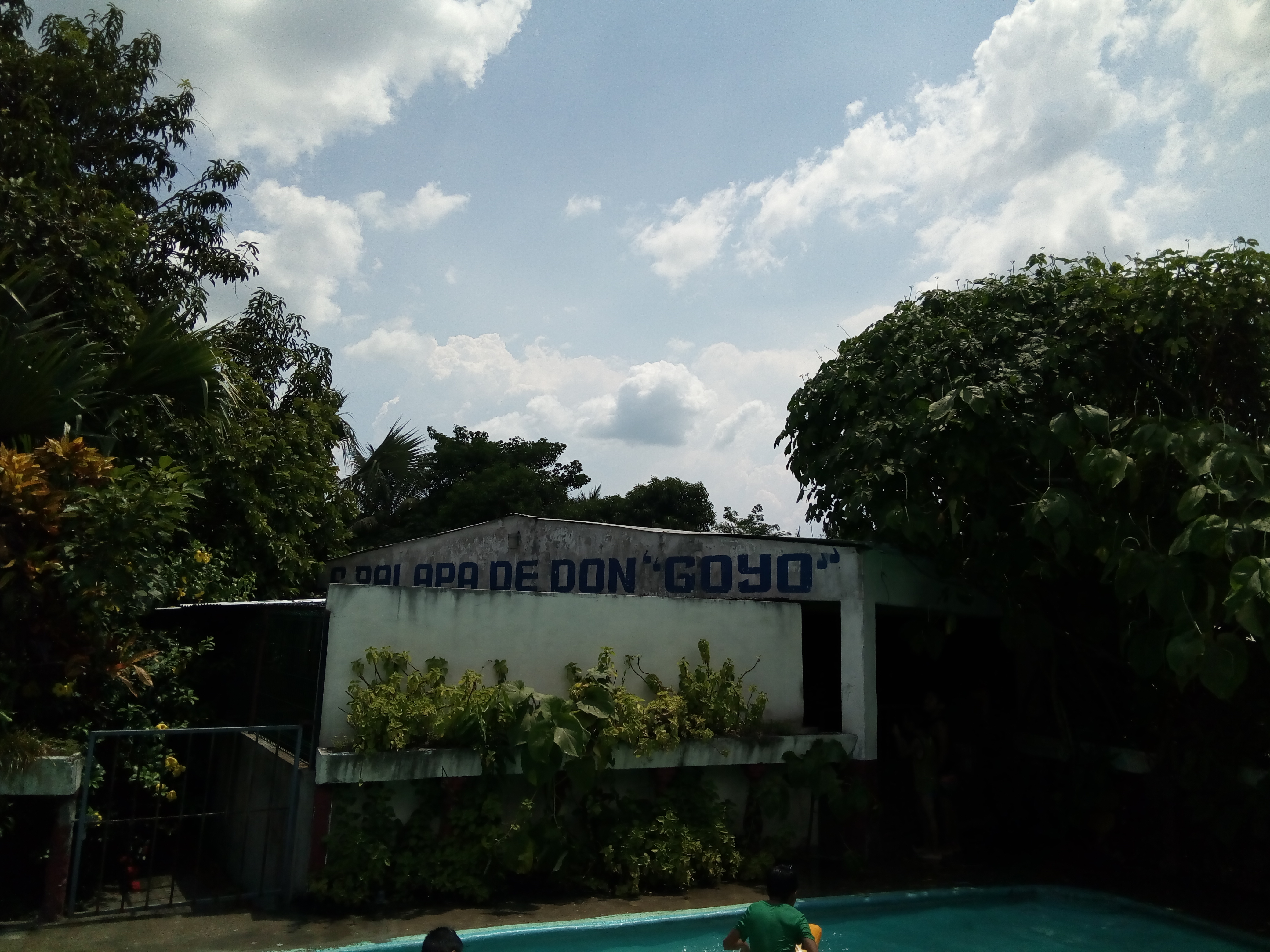 UMA El Arca De Noe image 8