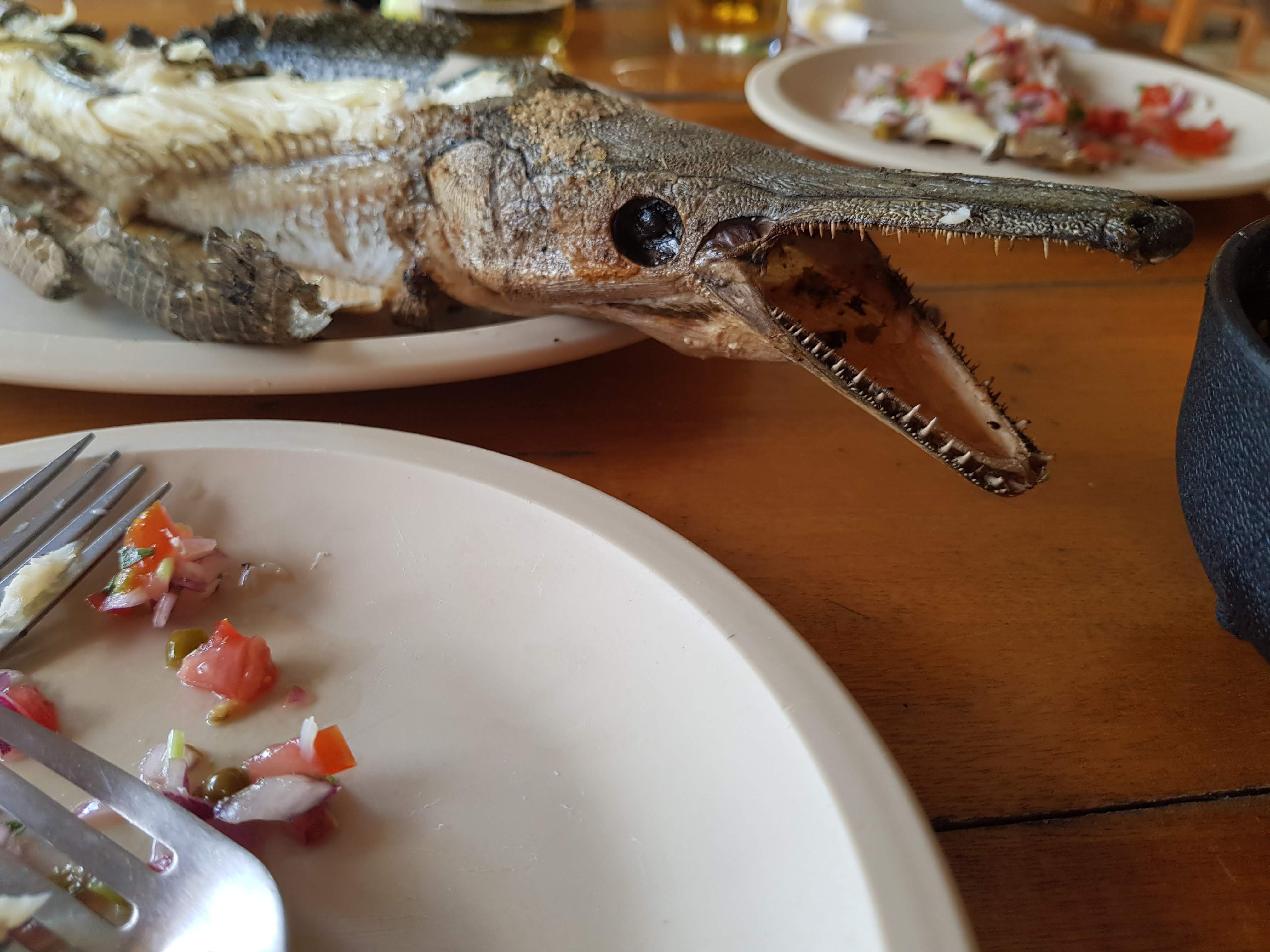 La Palapa De polito image 6