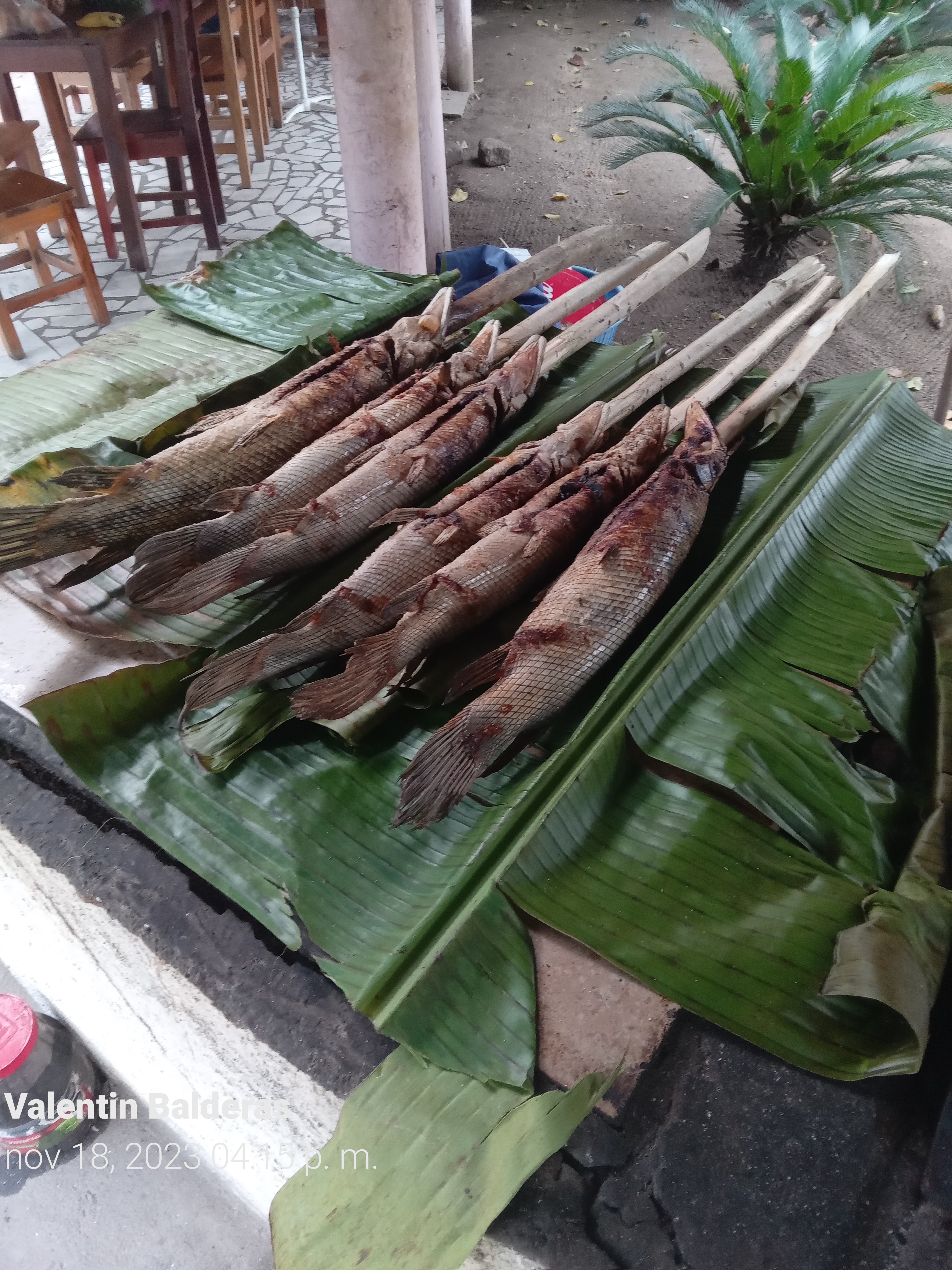 La Palapa De polito image 7