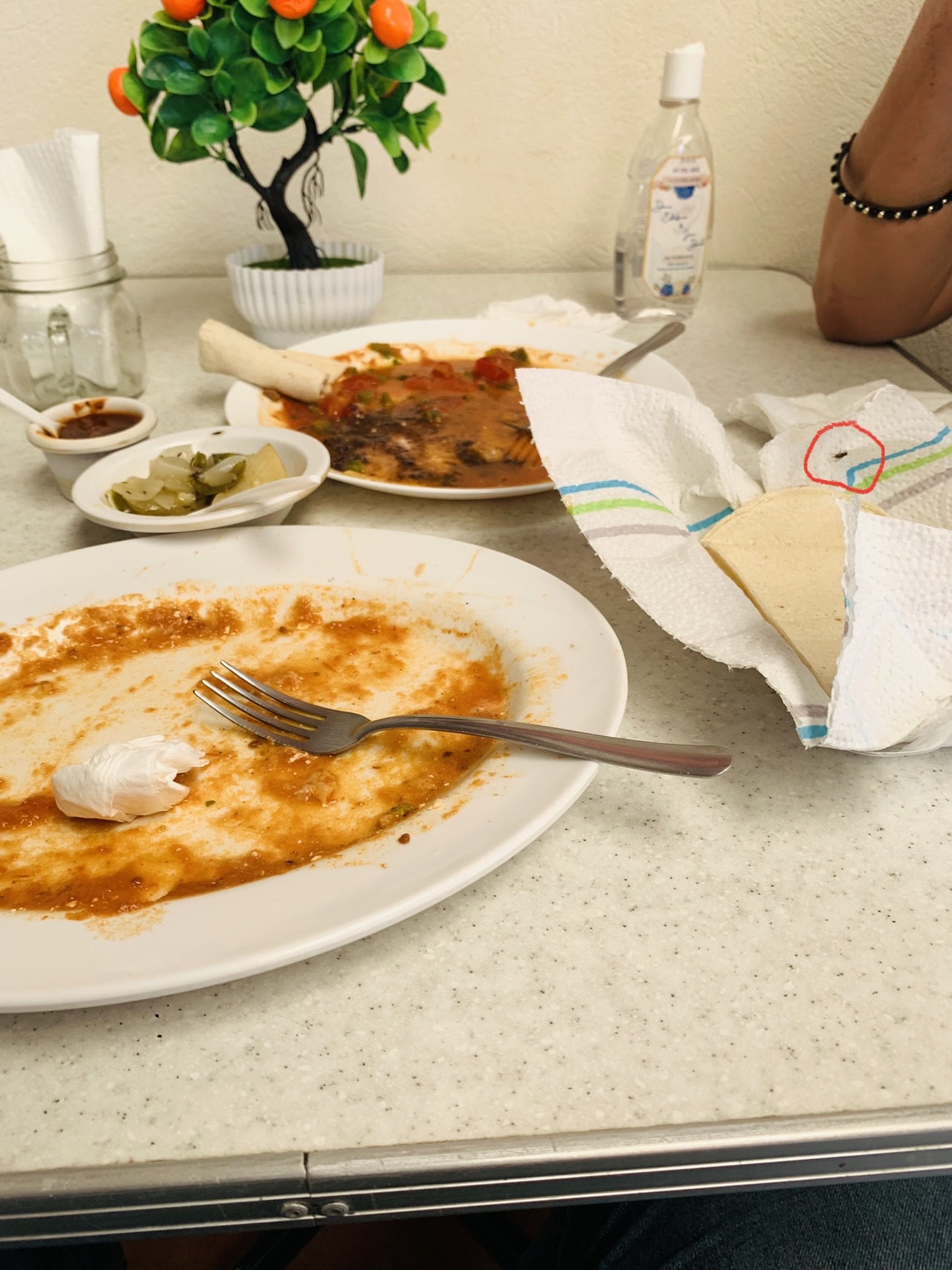 Los Comales Restaurante image 4