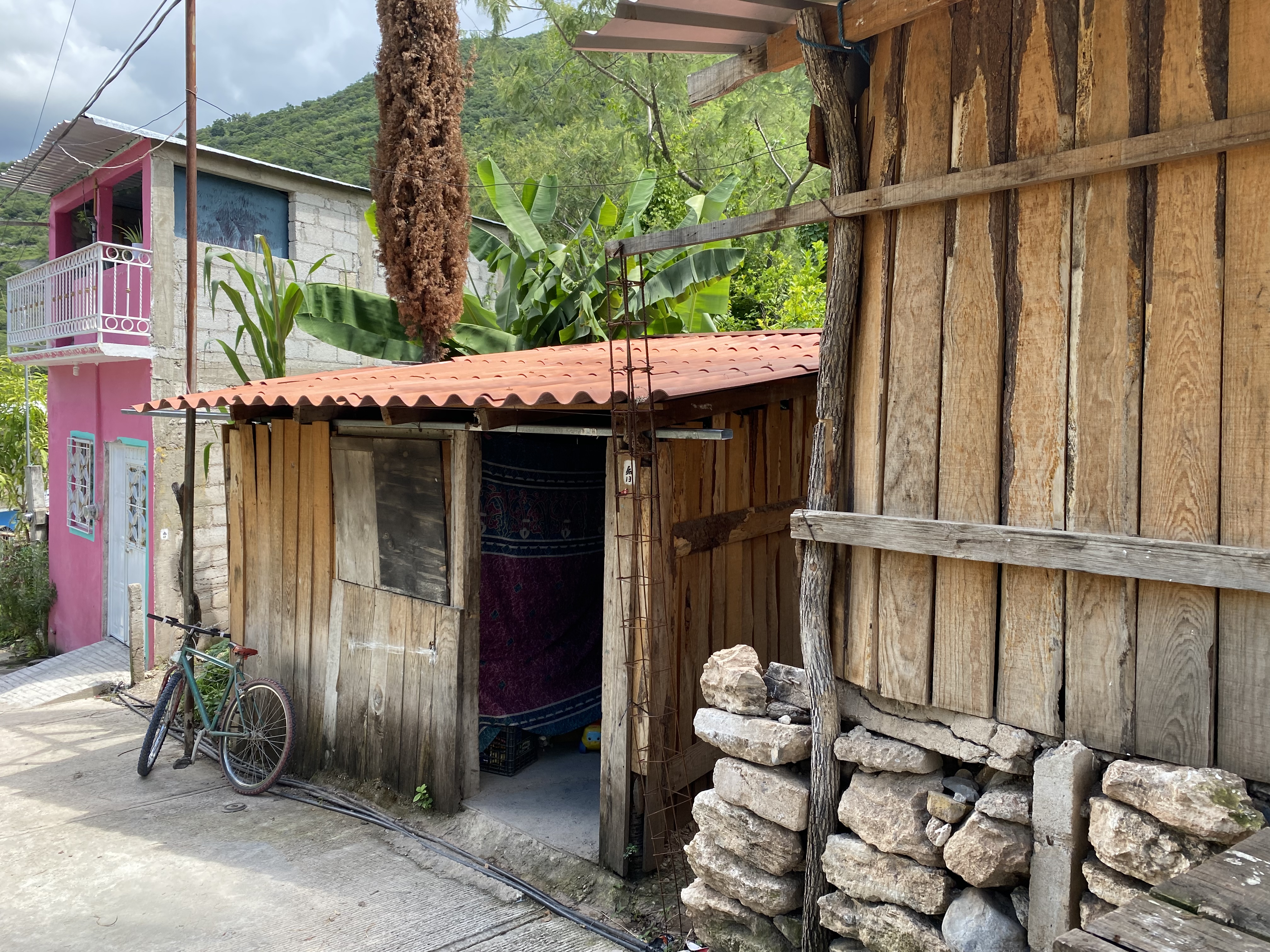 Polozeria "Juanita" image 3