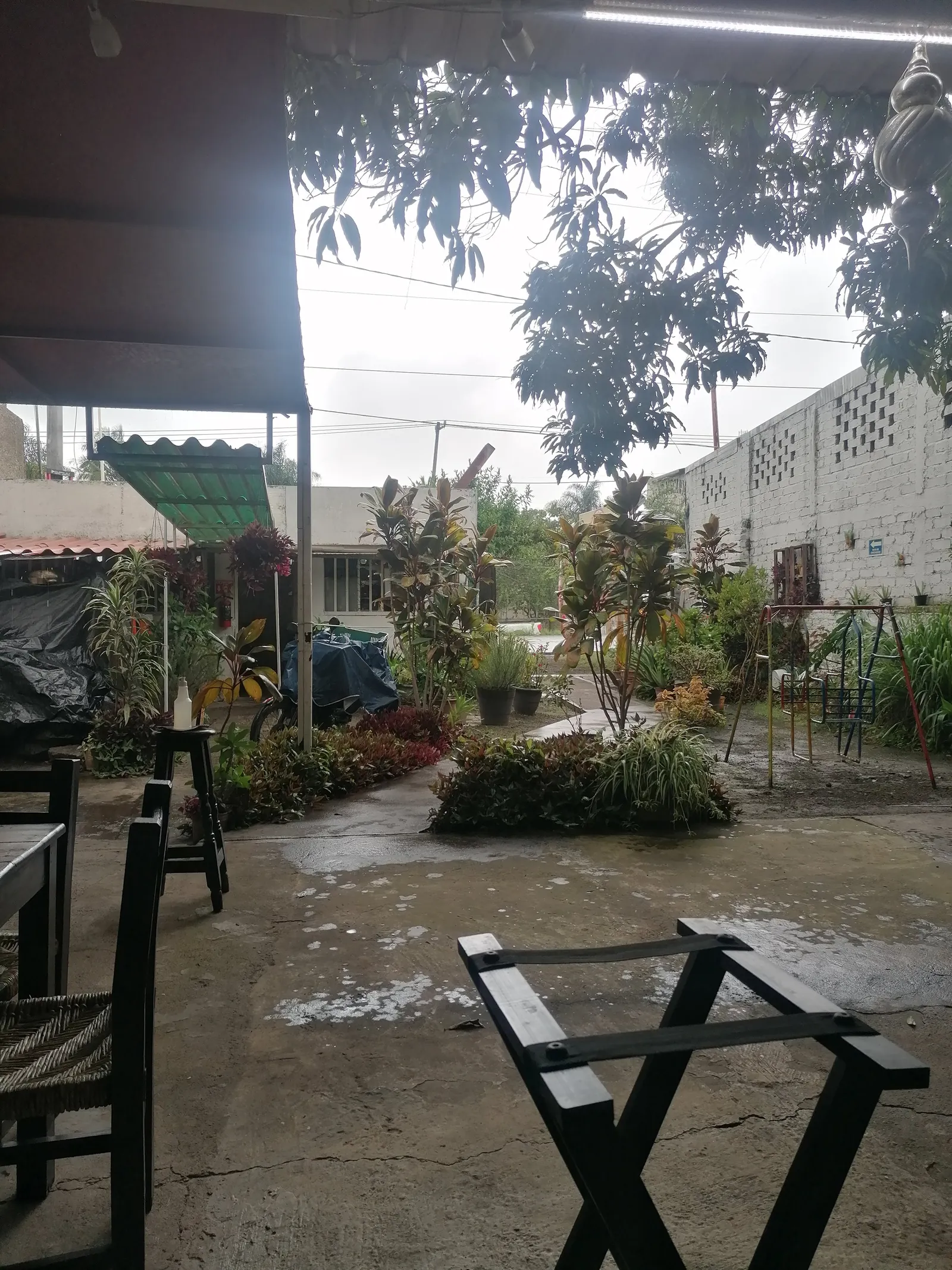El tasajo image 1
