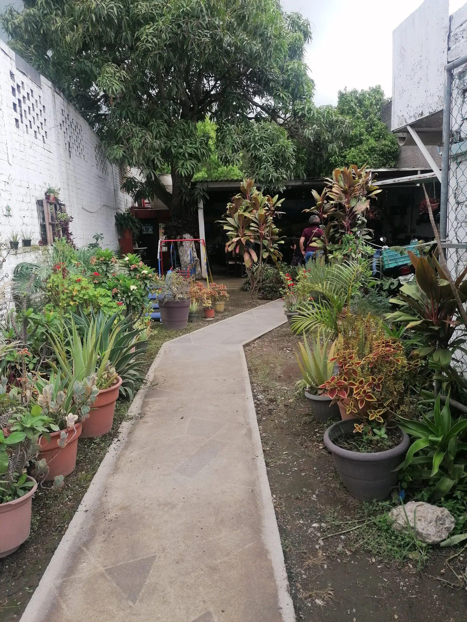 El tasajo image 4