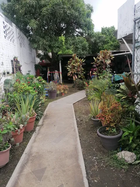 El tasajo image 4