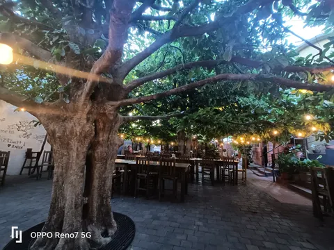 Restaurante La Casa de la Abuela image 1