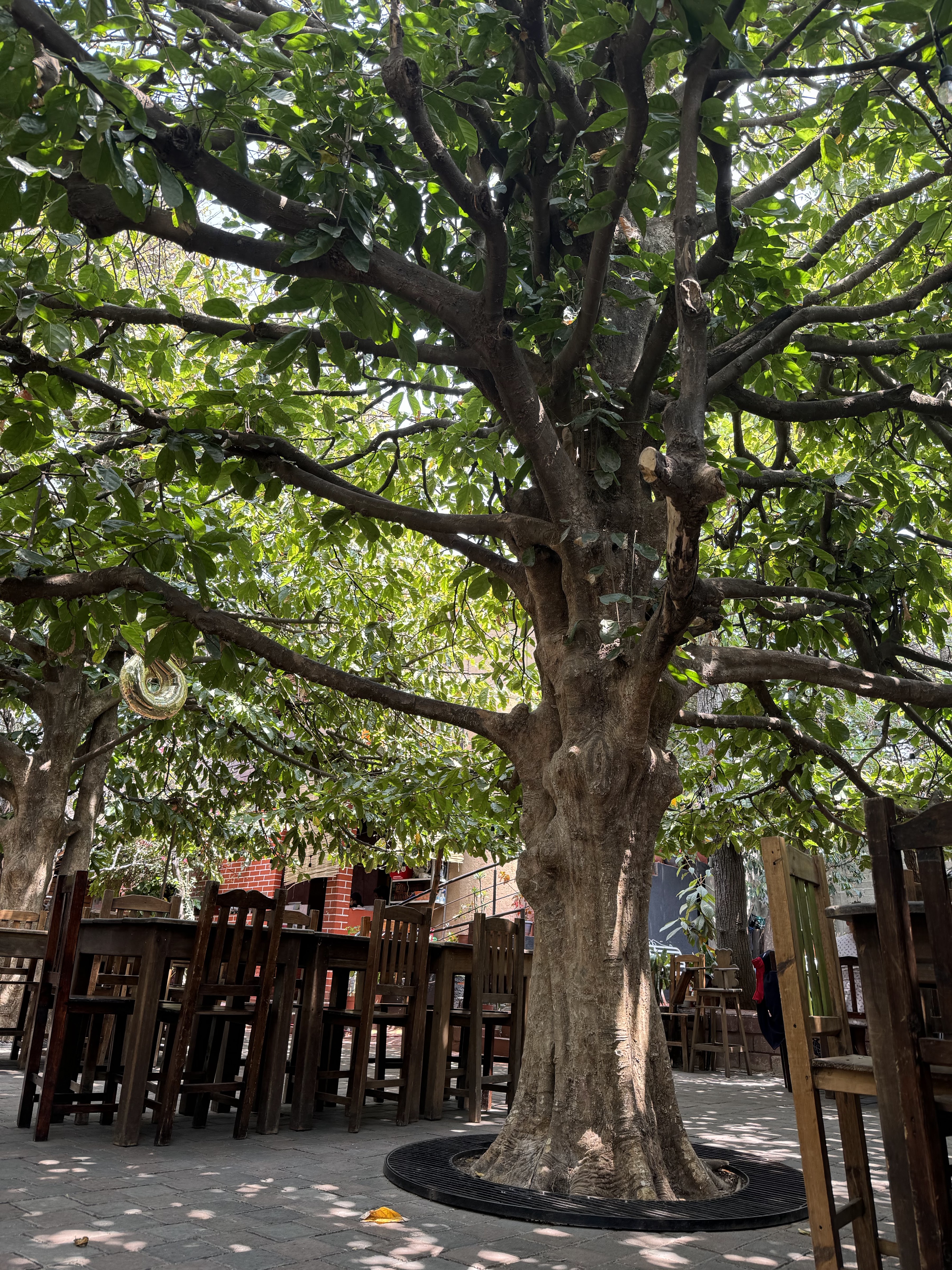 Restaurante La Casa de la Abuela image 5