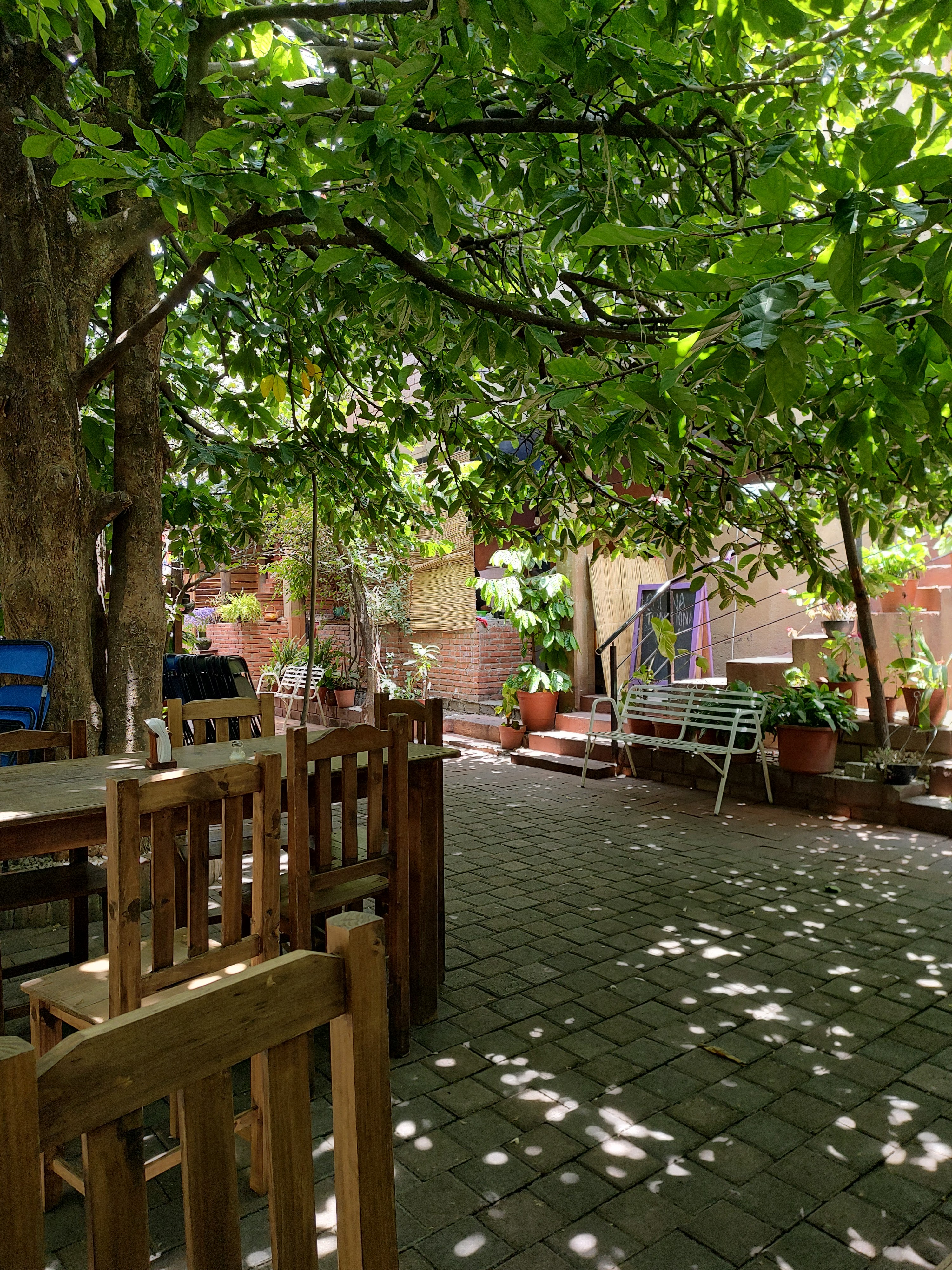 Restaurante La Casa de la Abuela image 7